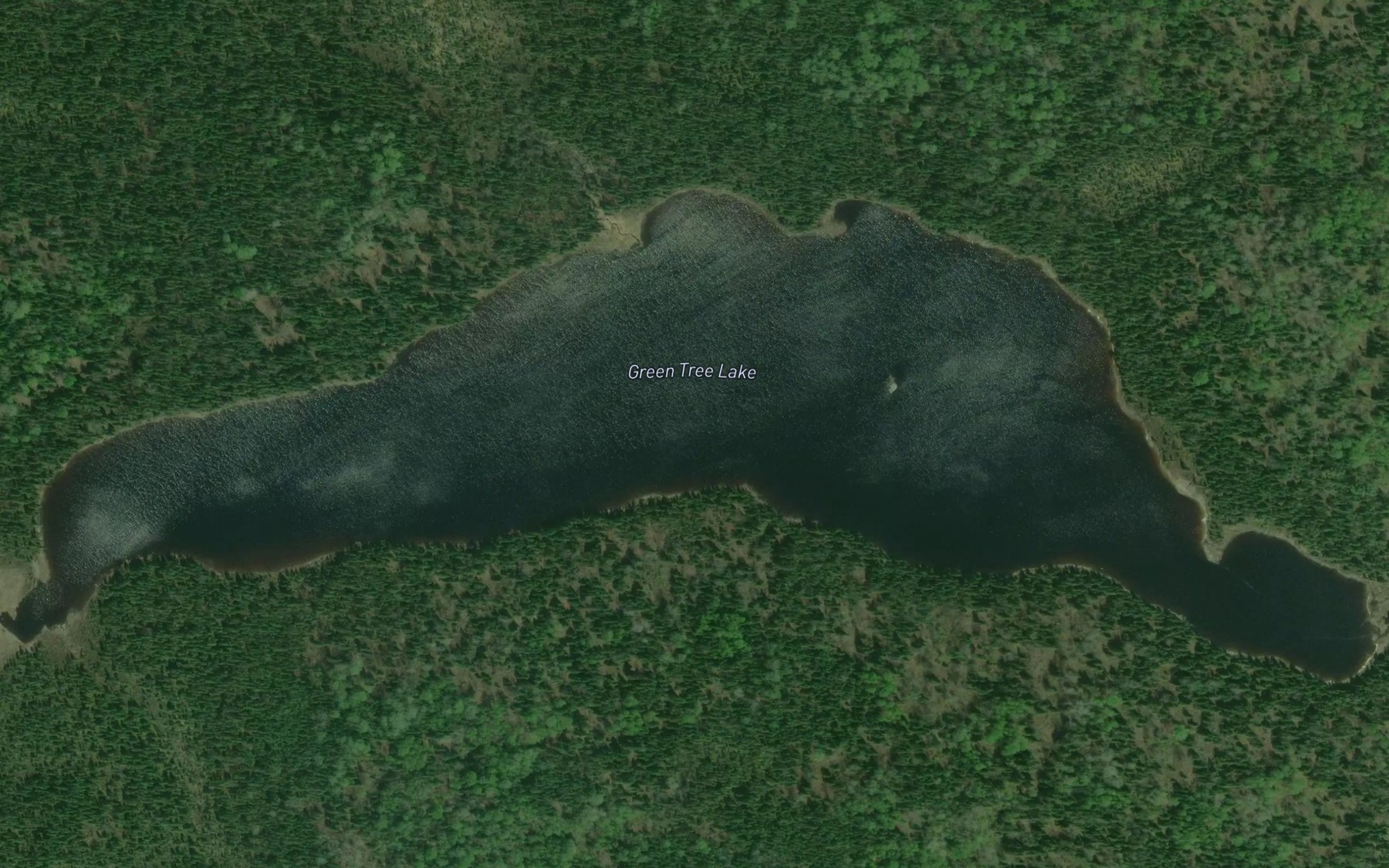 Satellite map of the Green Tree Lake