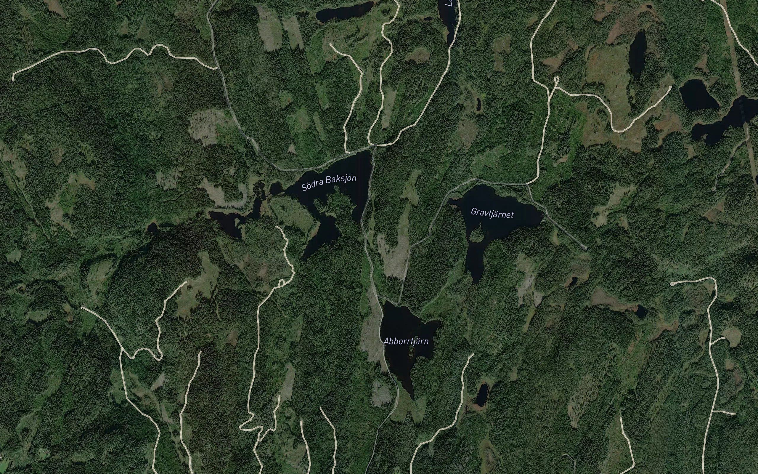 Gravtjarn