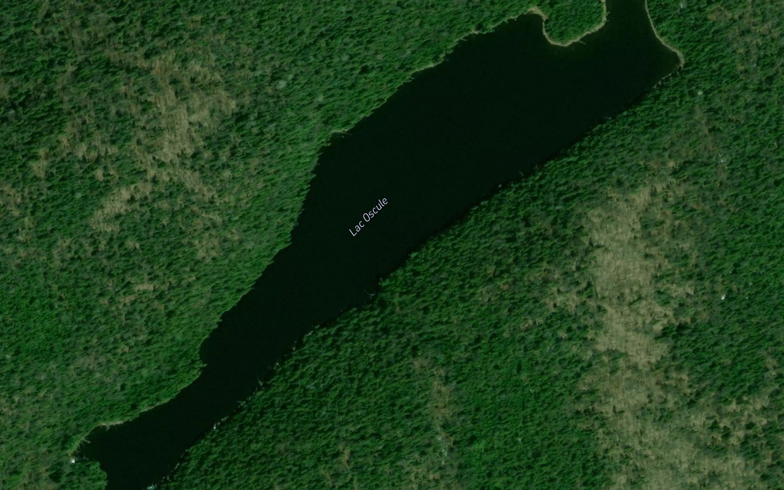 Lac Oscule