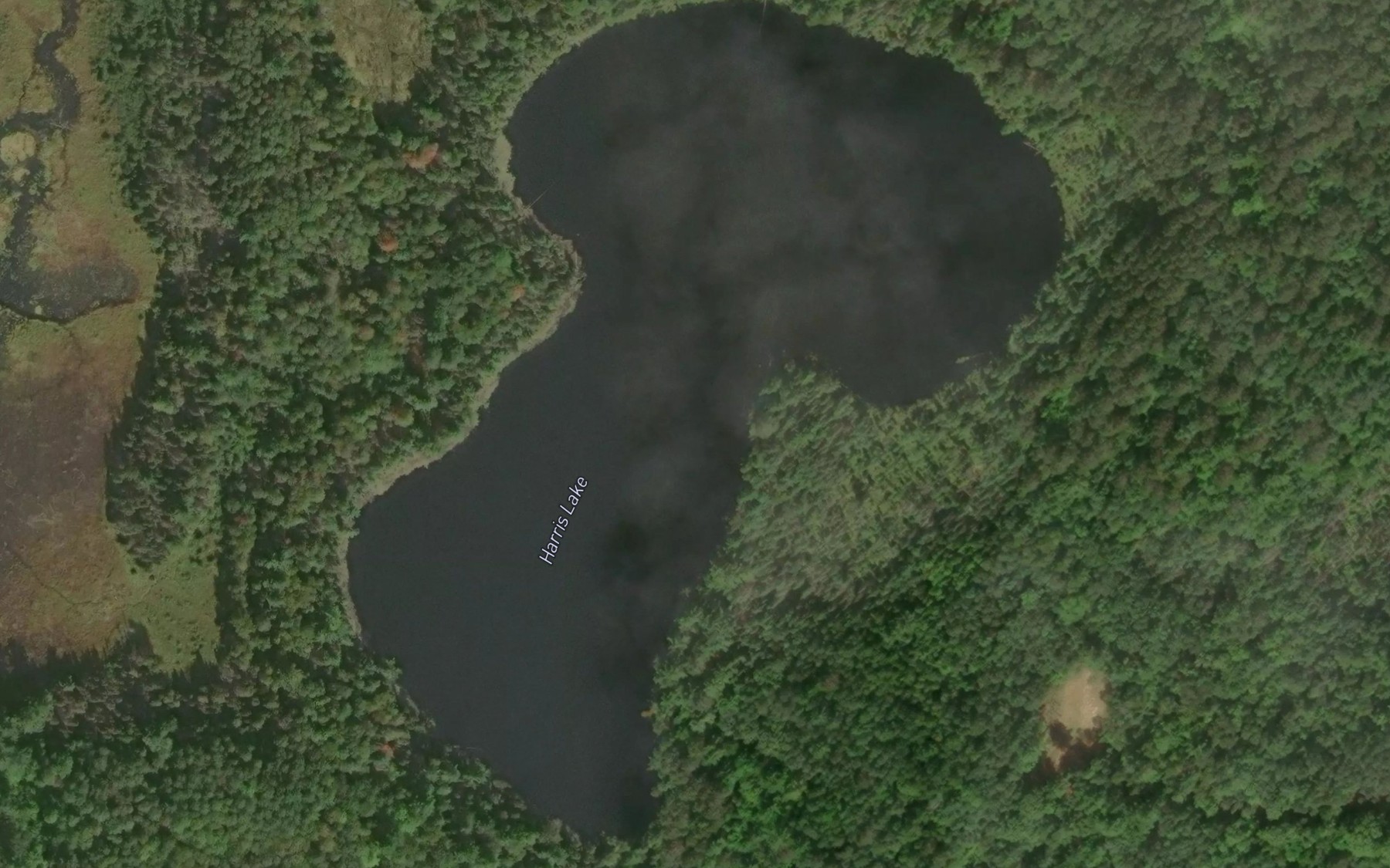Satellite map of the Harris Lake