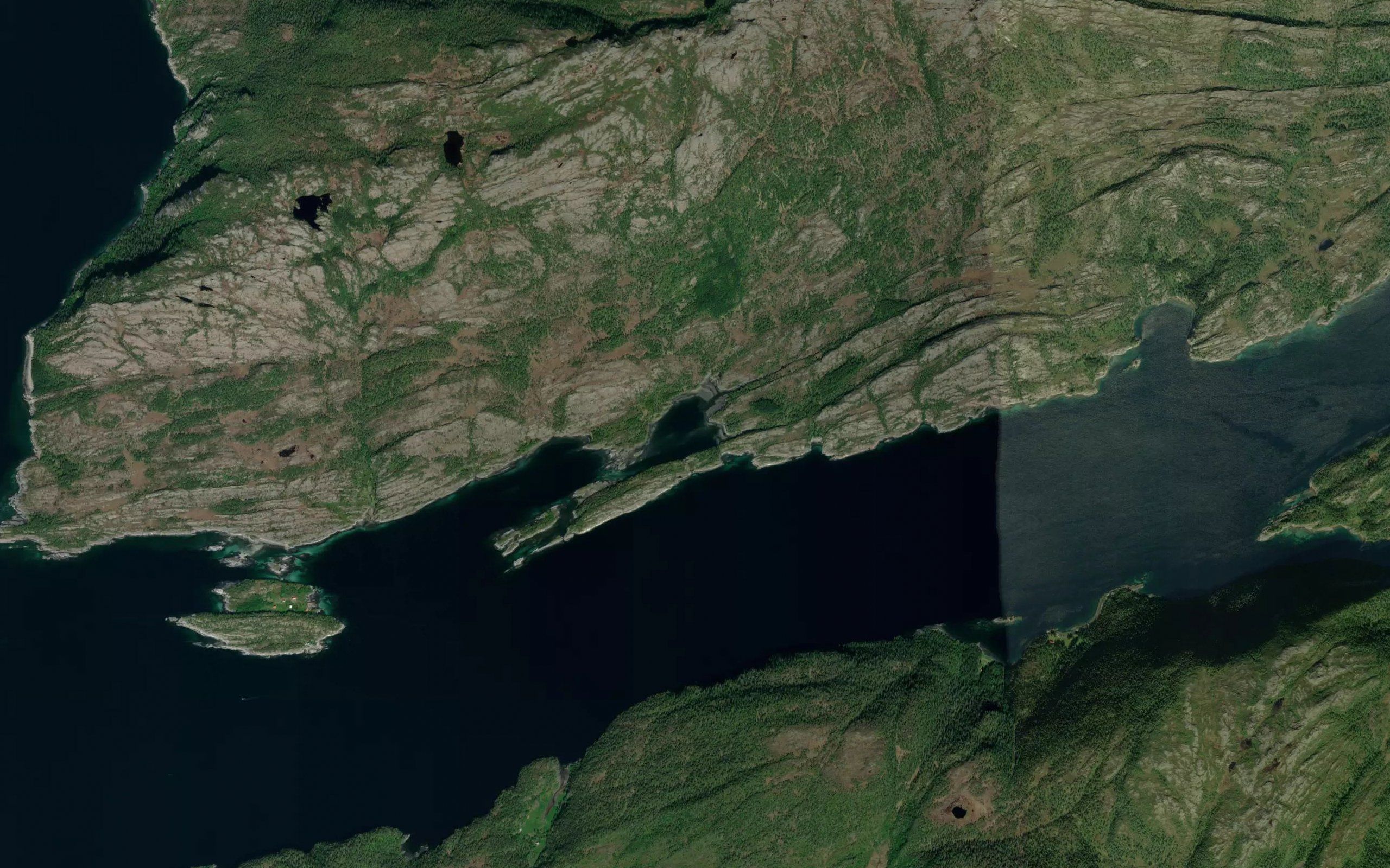 Klauva