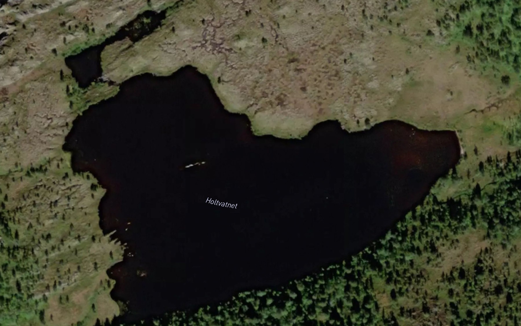 Satellite map of the Holtvatnet