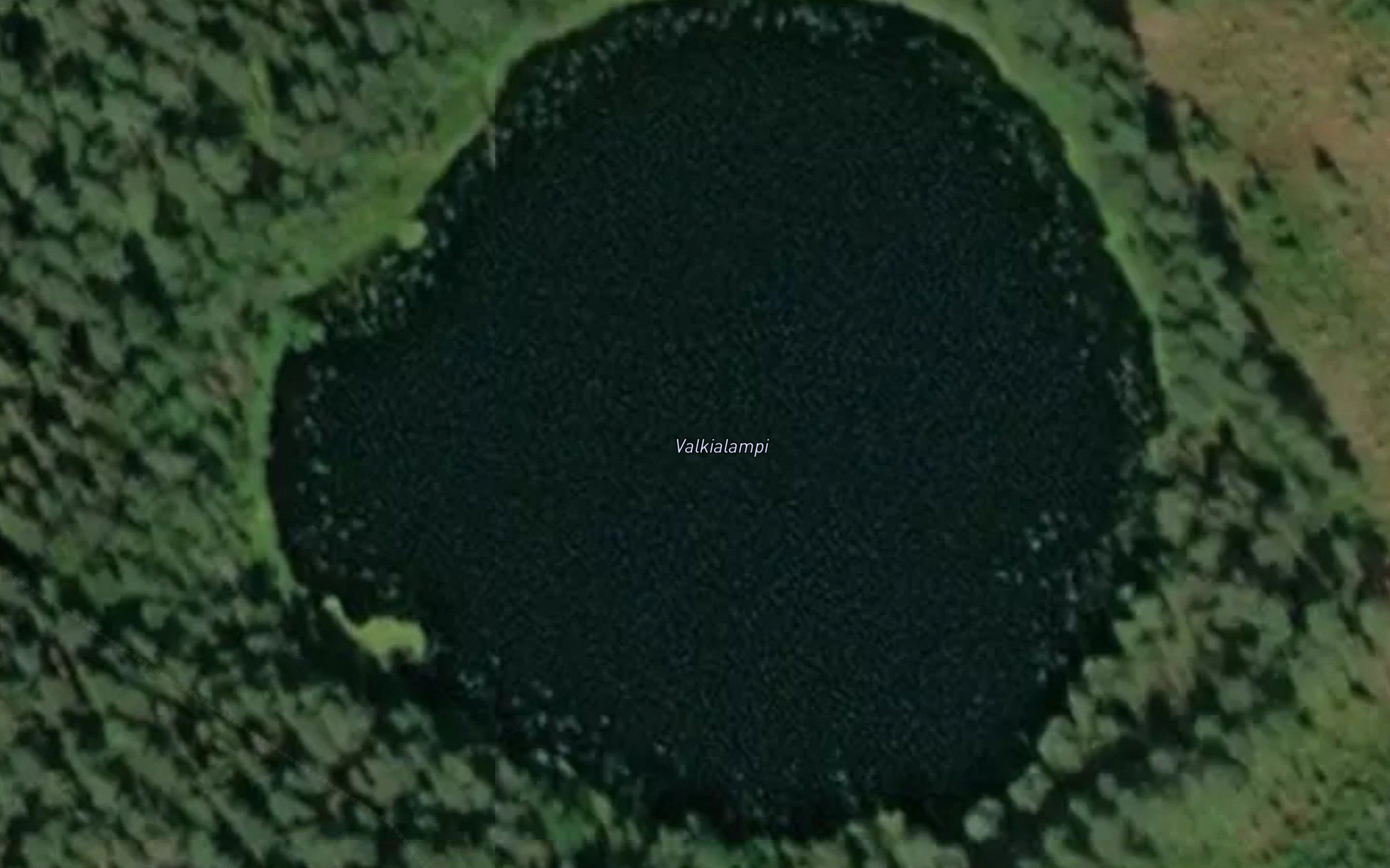 Valkialampi