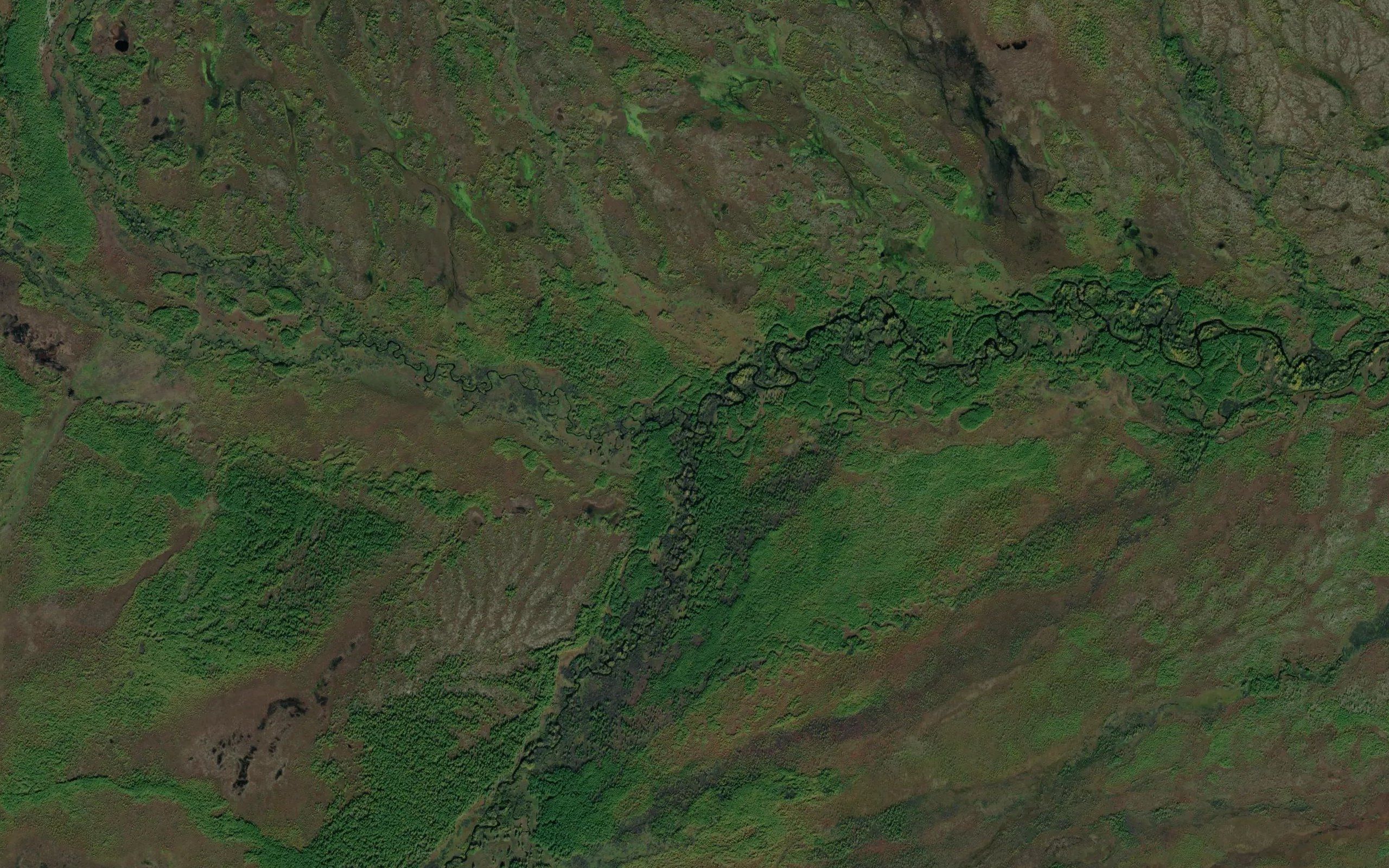 Zabolochennyy