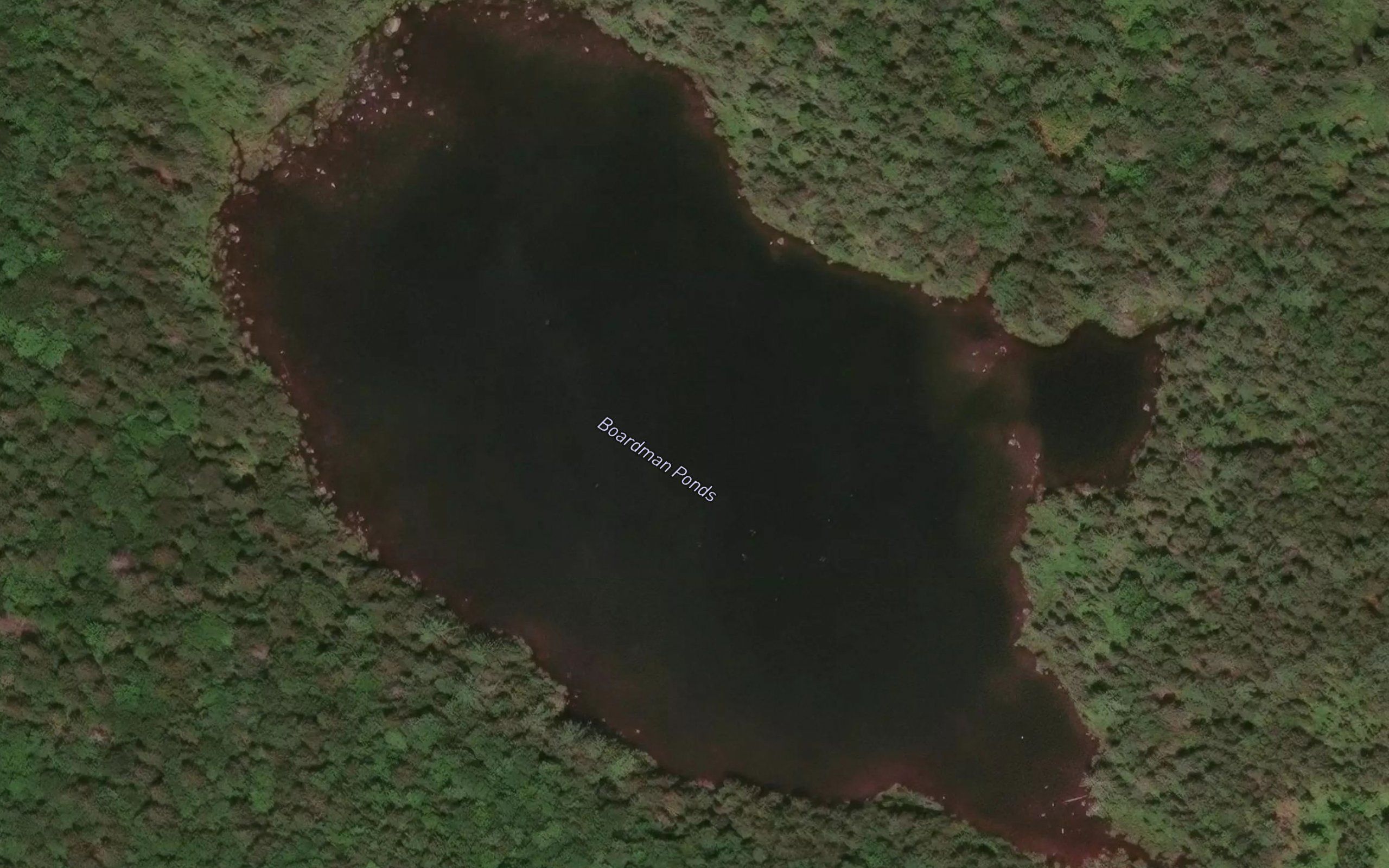 Boardway Ponds