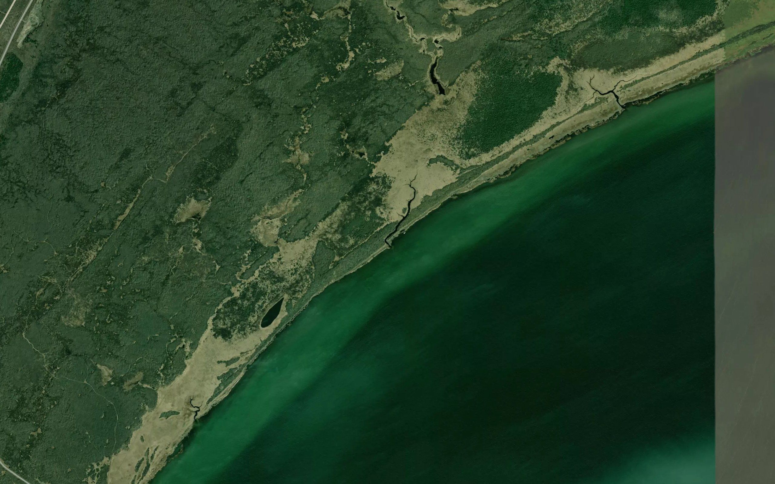Mosquito Creek