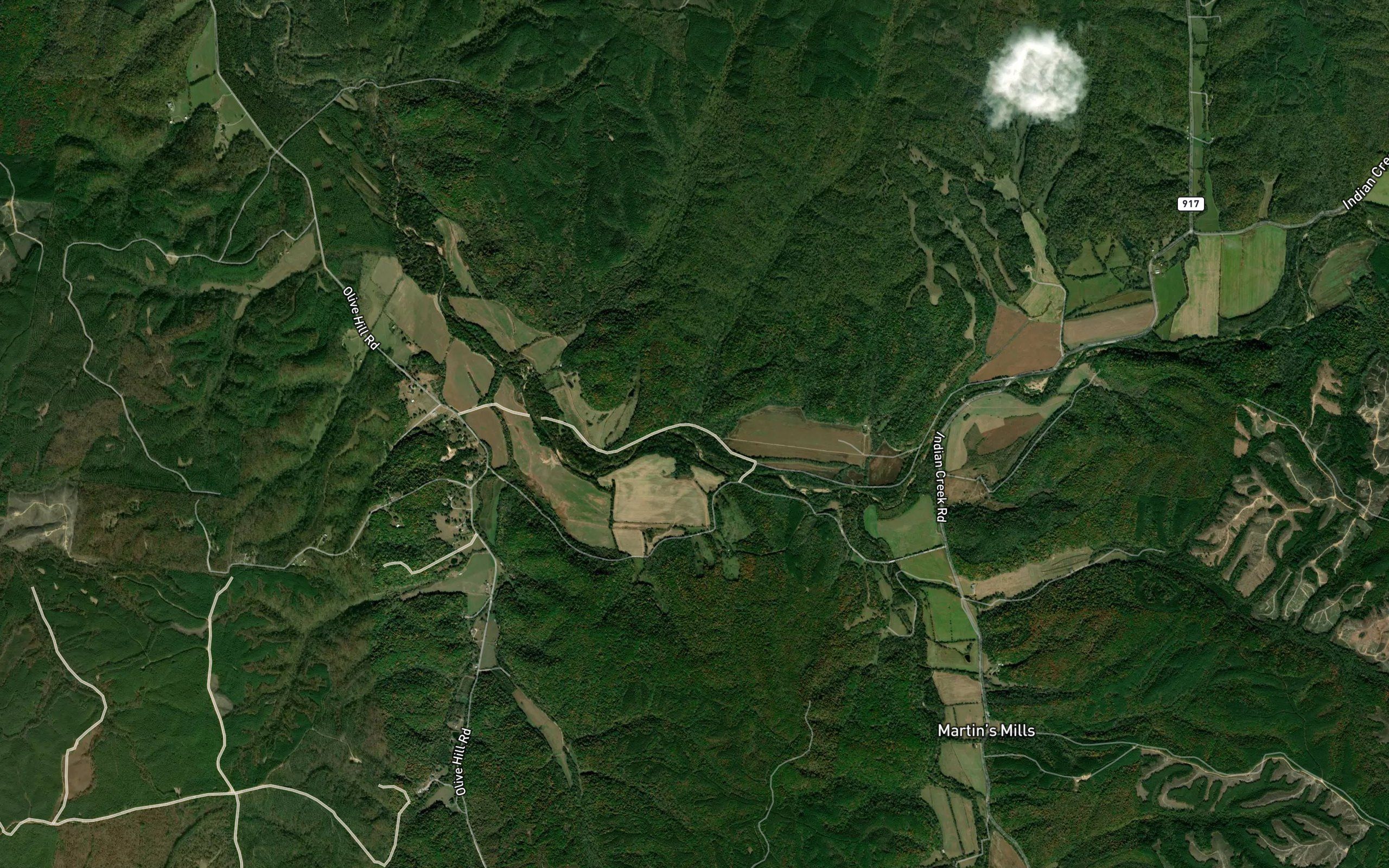 Muller Hollow Branch