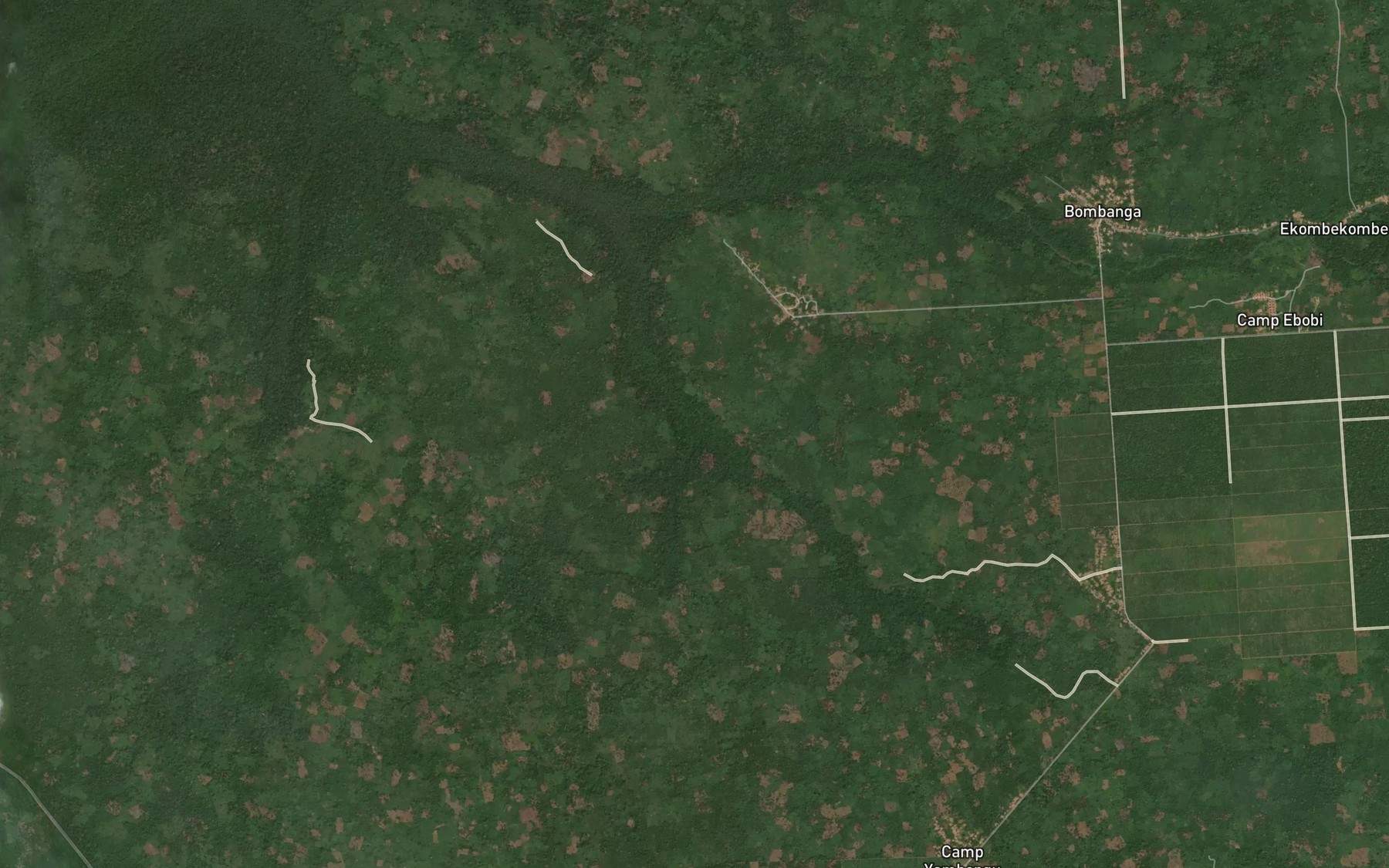 Satellite map of the Mwasa