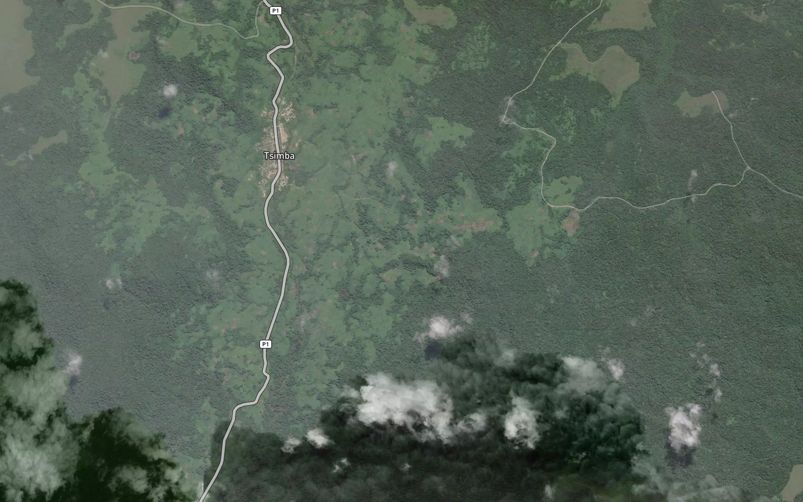 Bamboma