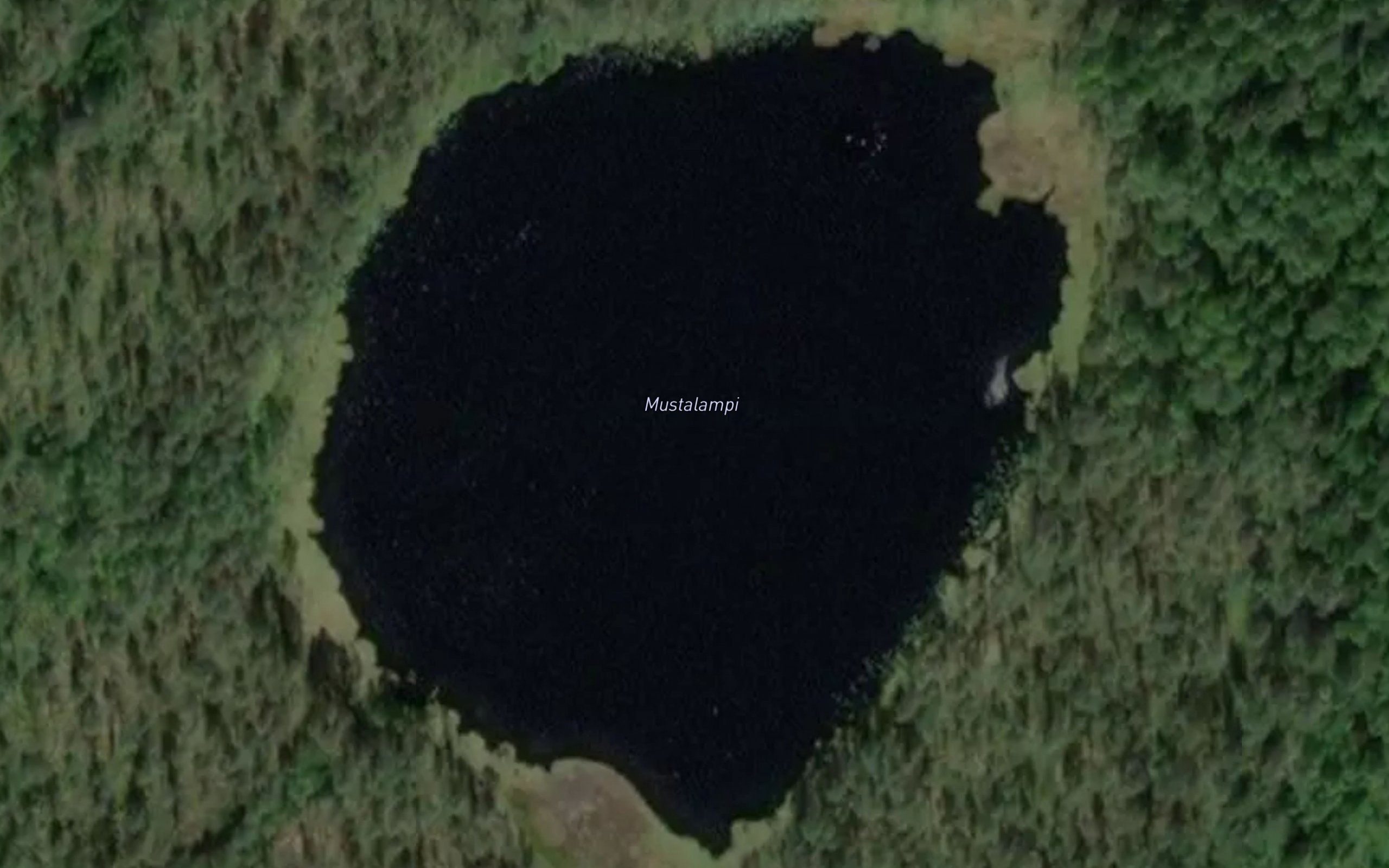 Mustalampi