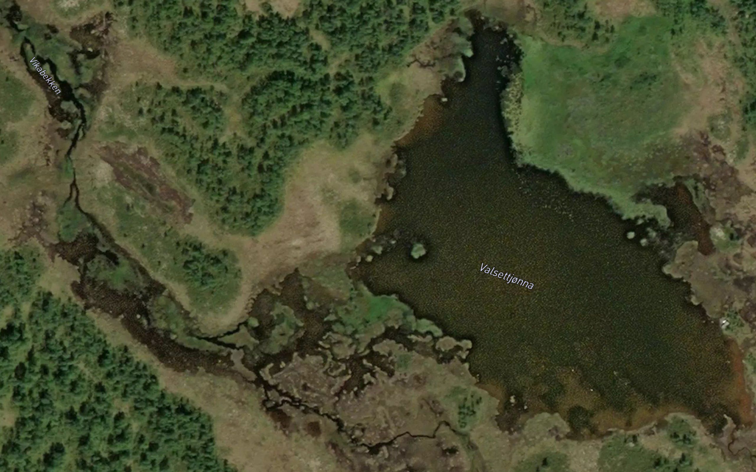 Valsettjorna