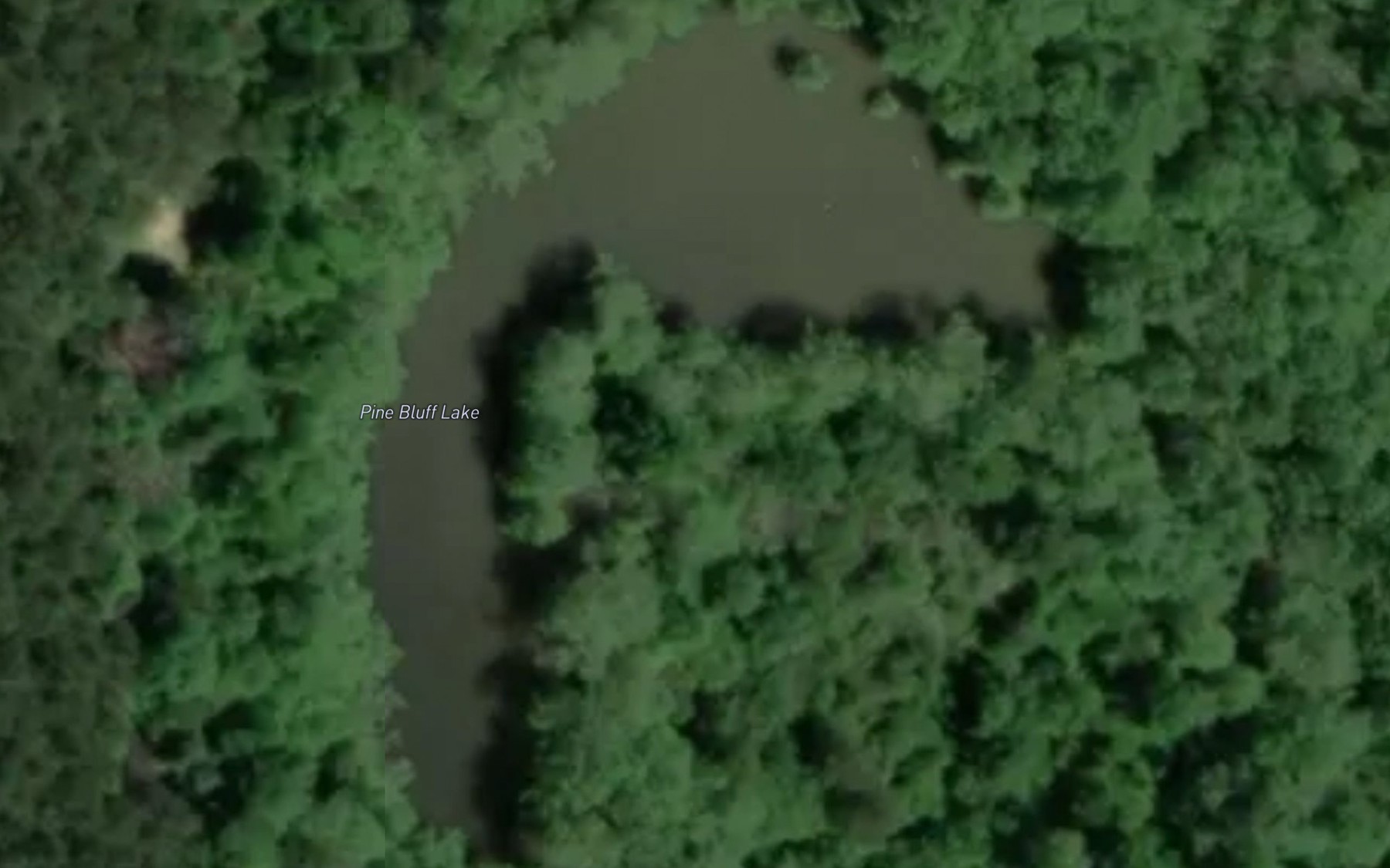 Satellite map of the Pine Bluff Lake