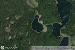 Rodent Lake