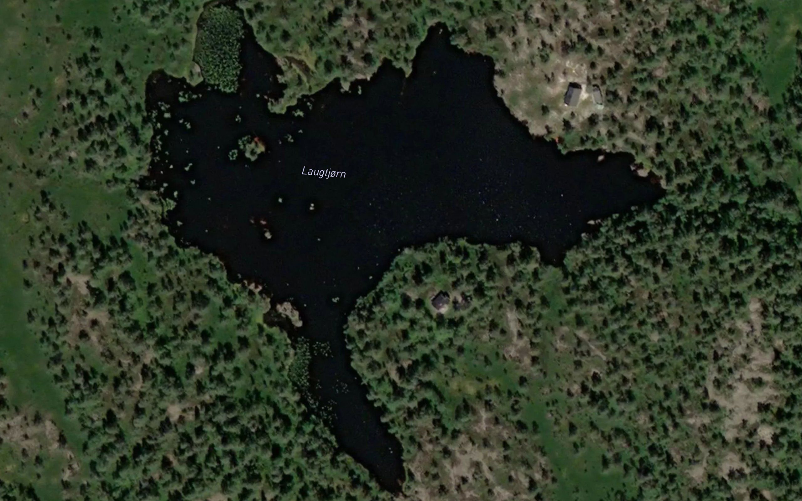 Lauvtjonn