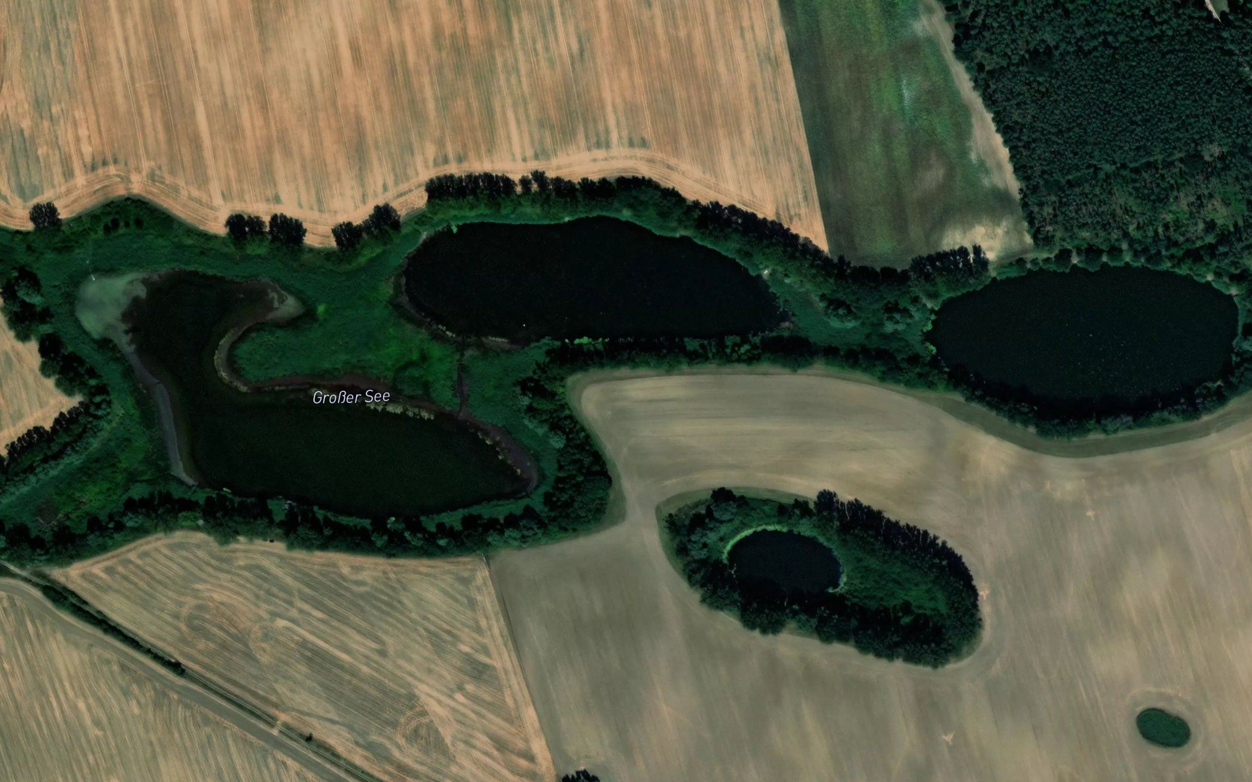 Grosser See