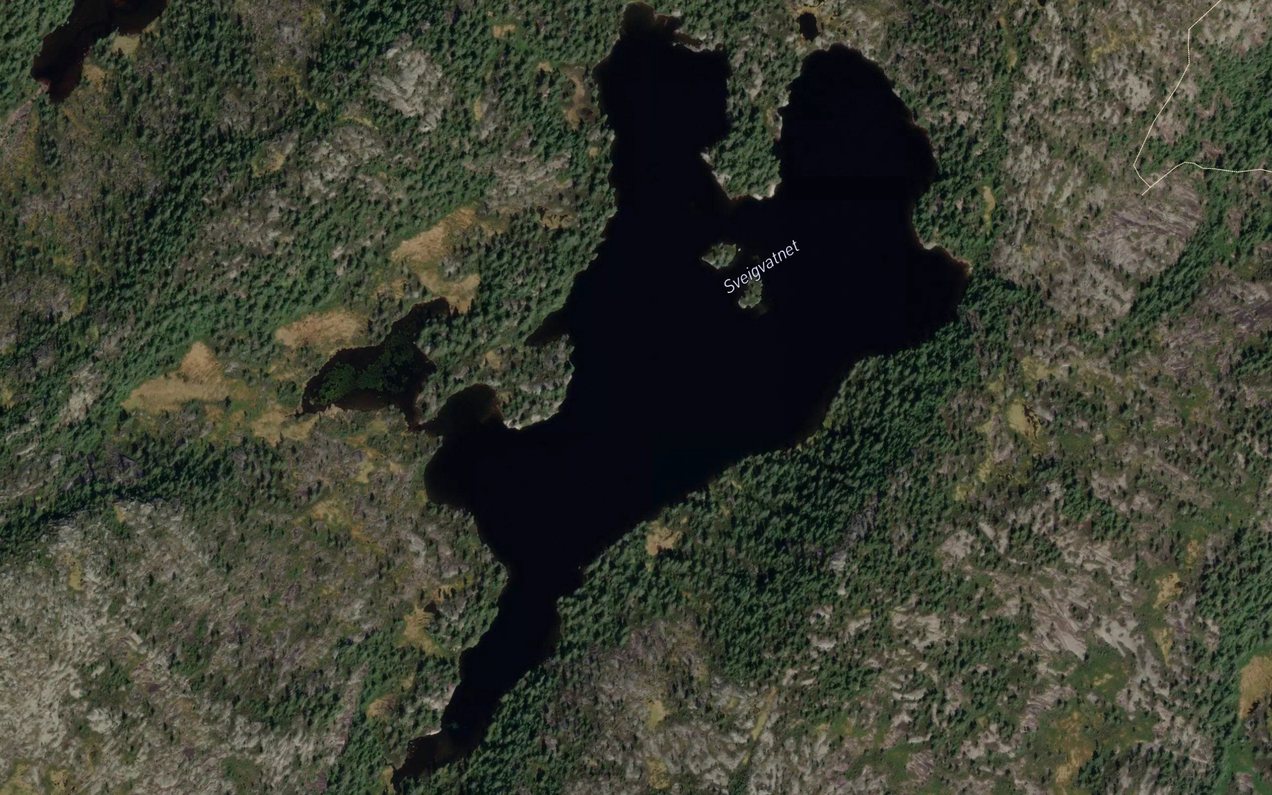 Sveigvatnet