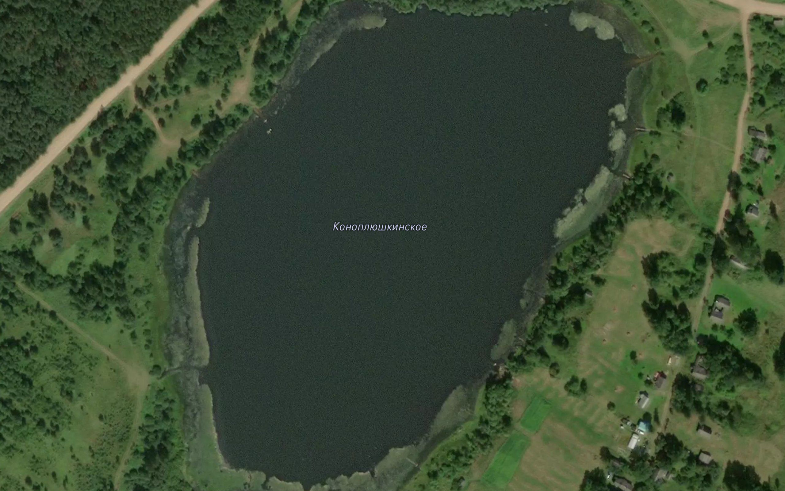 Ozero Konoplyushinskoye
