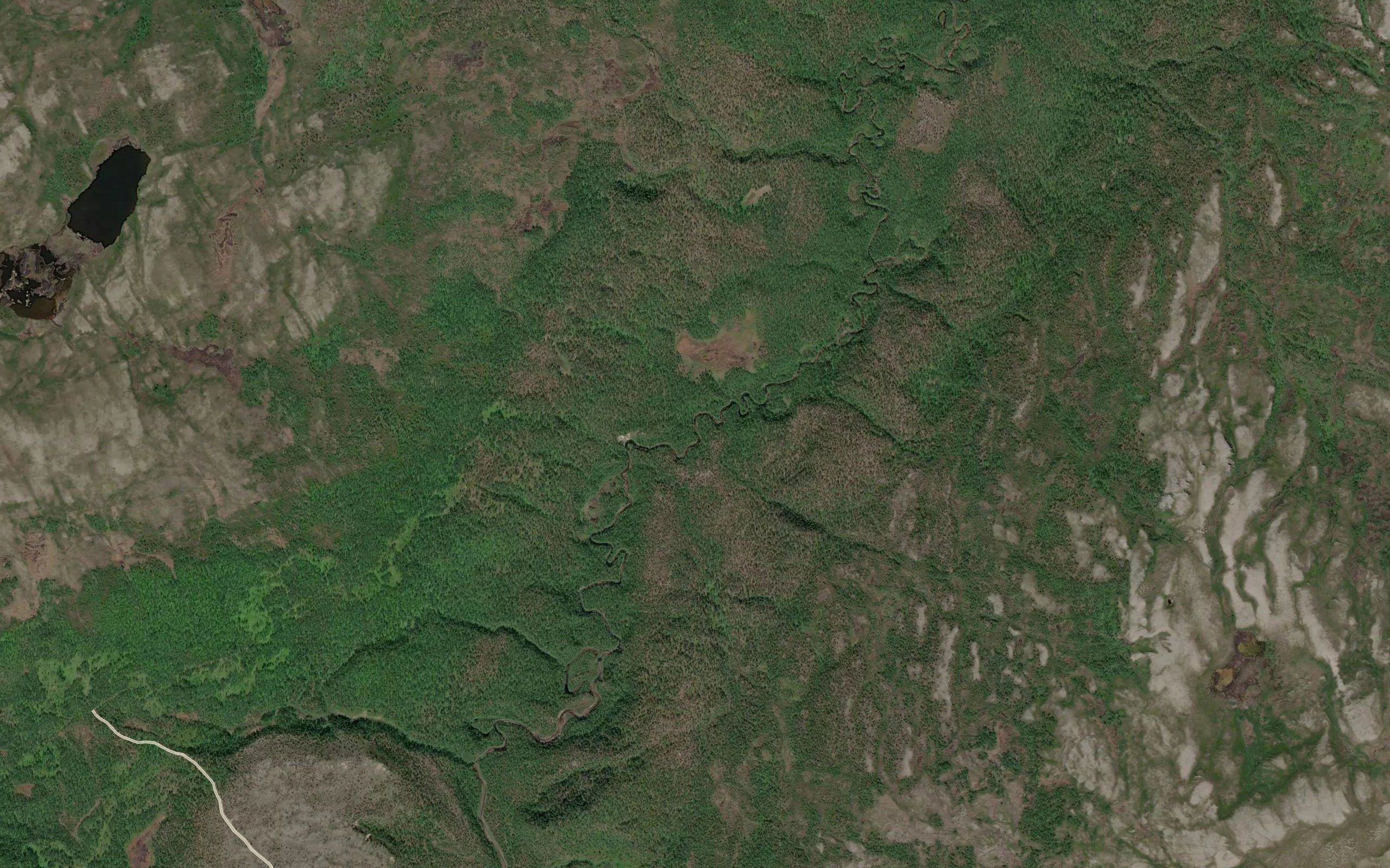 Ailegasjakka