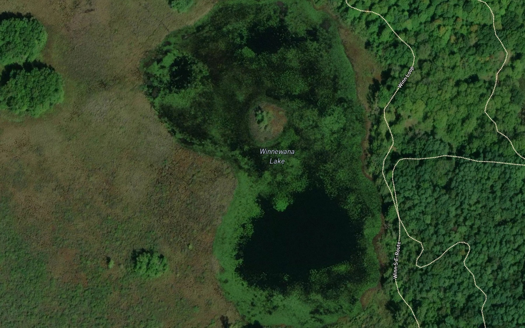 Satellite map of the Winnewana Lake