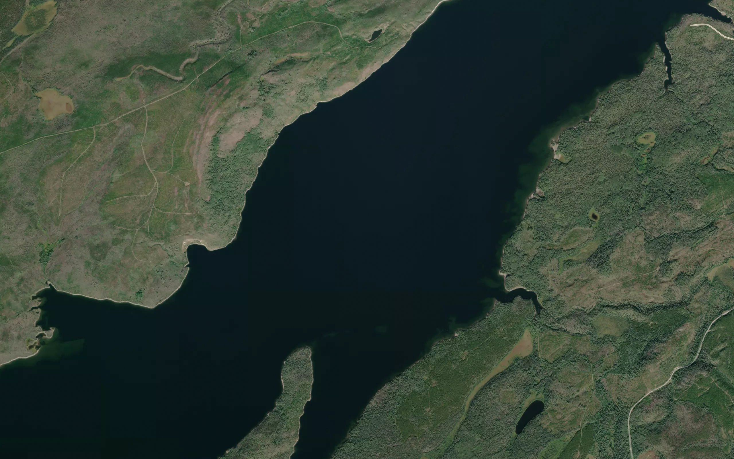 Knewstubb Lake