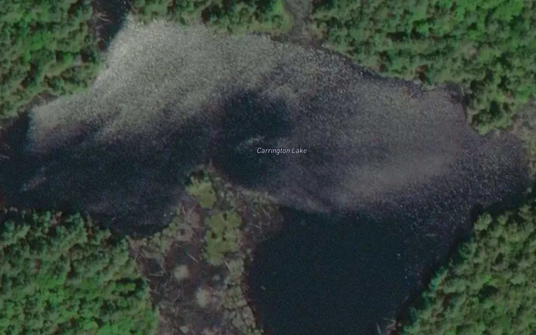 Satellite map of the Carrington Lake
