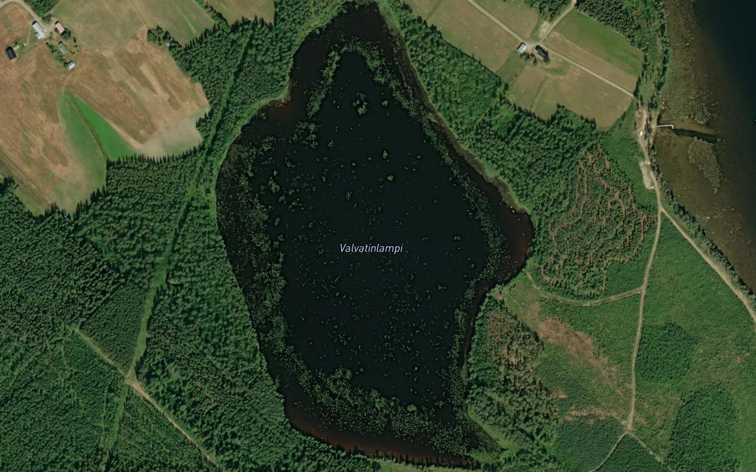 Valvatinlampi