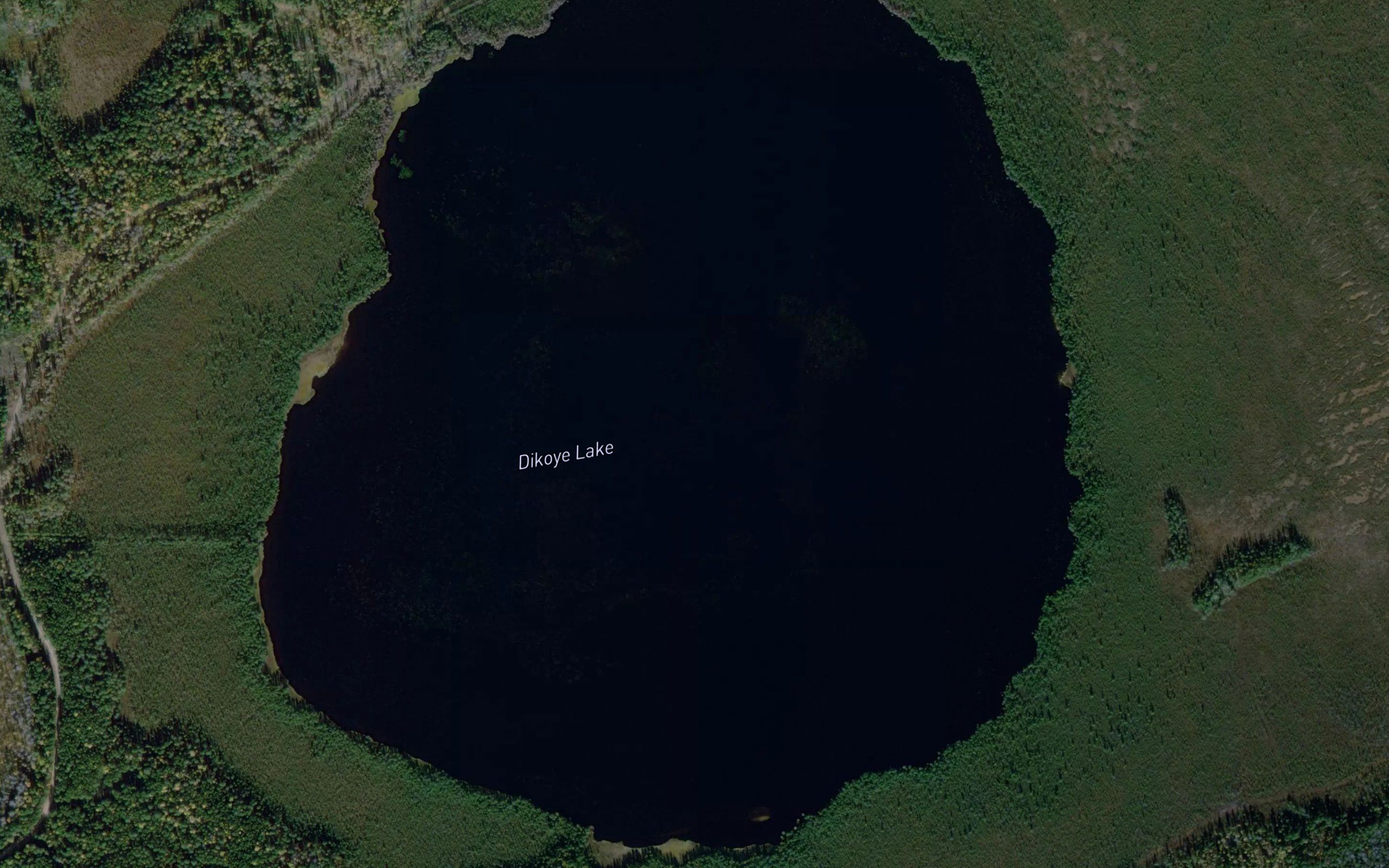 Ozero Dikoye