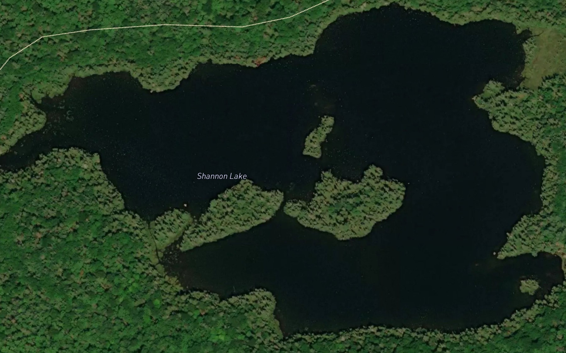 Satellite map of the Shannon Lake