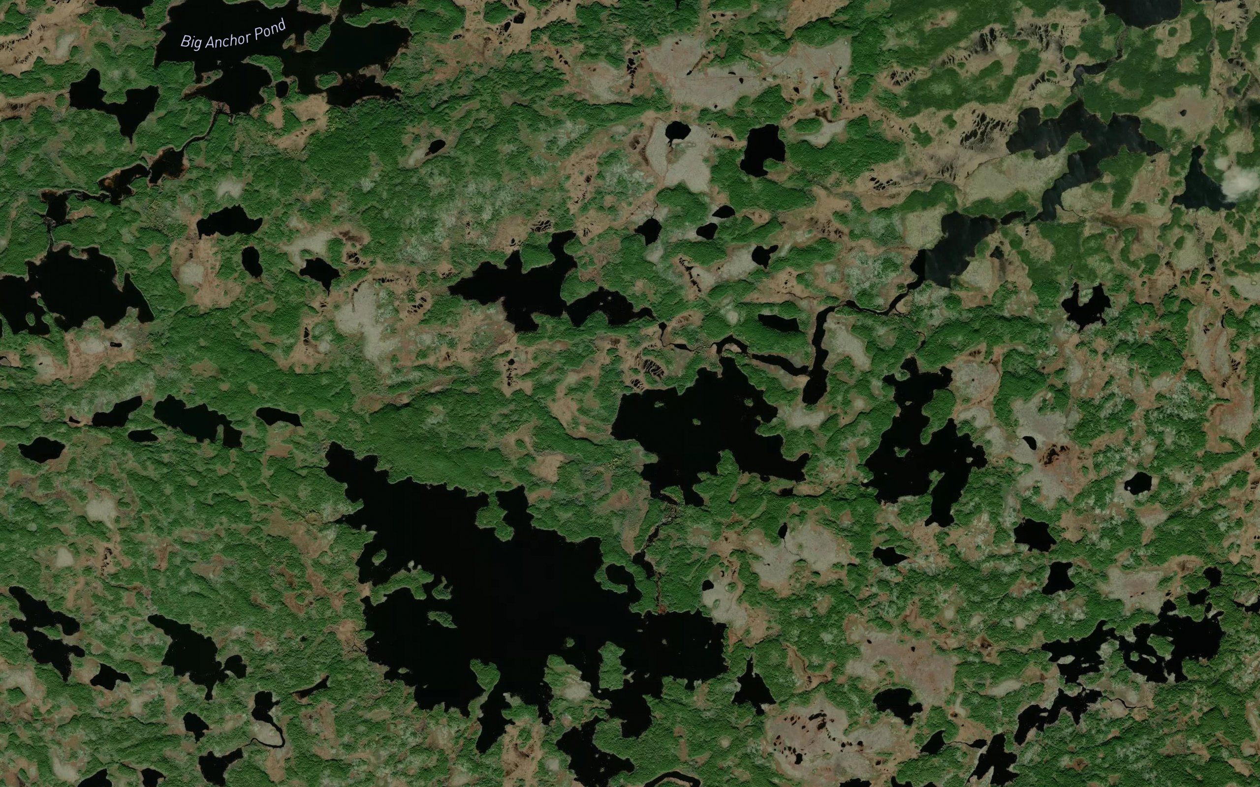 Little Burnt Pond