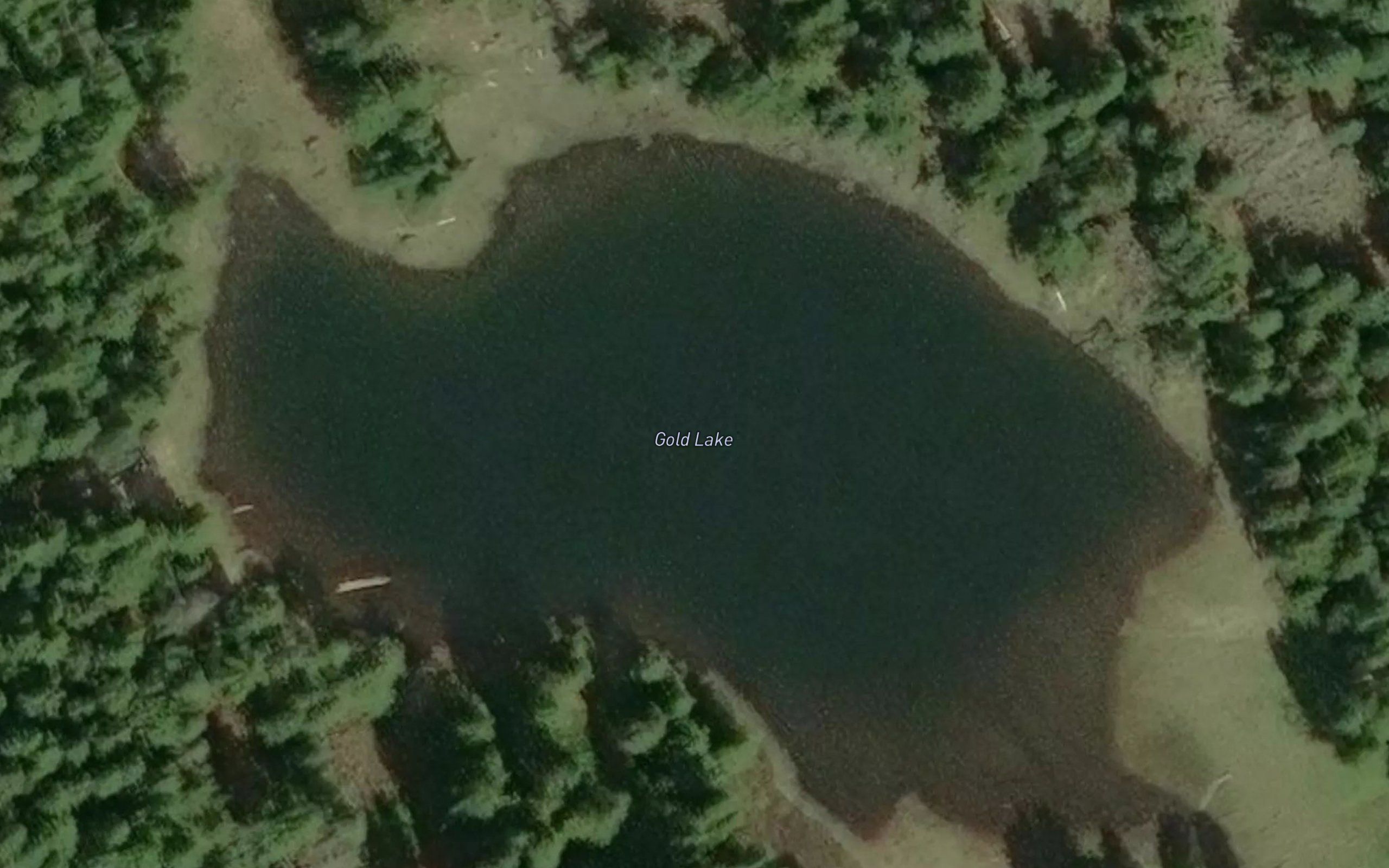 Gold Lake