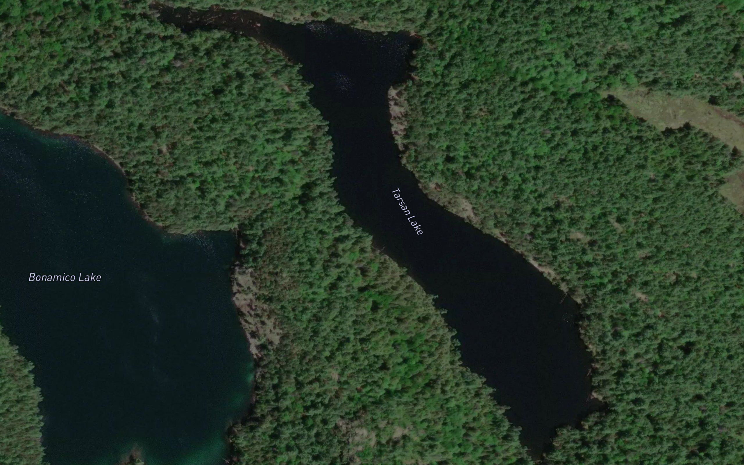 Tarsan Lake