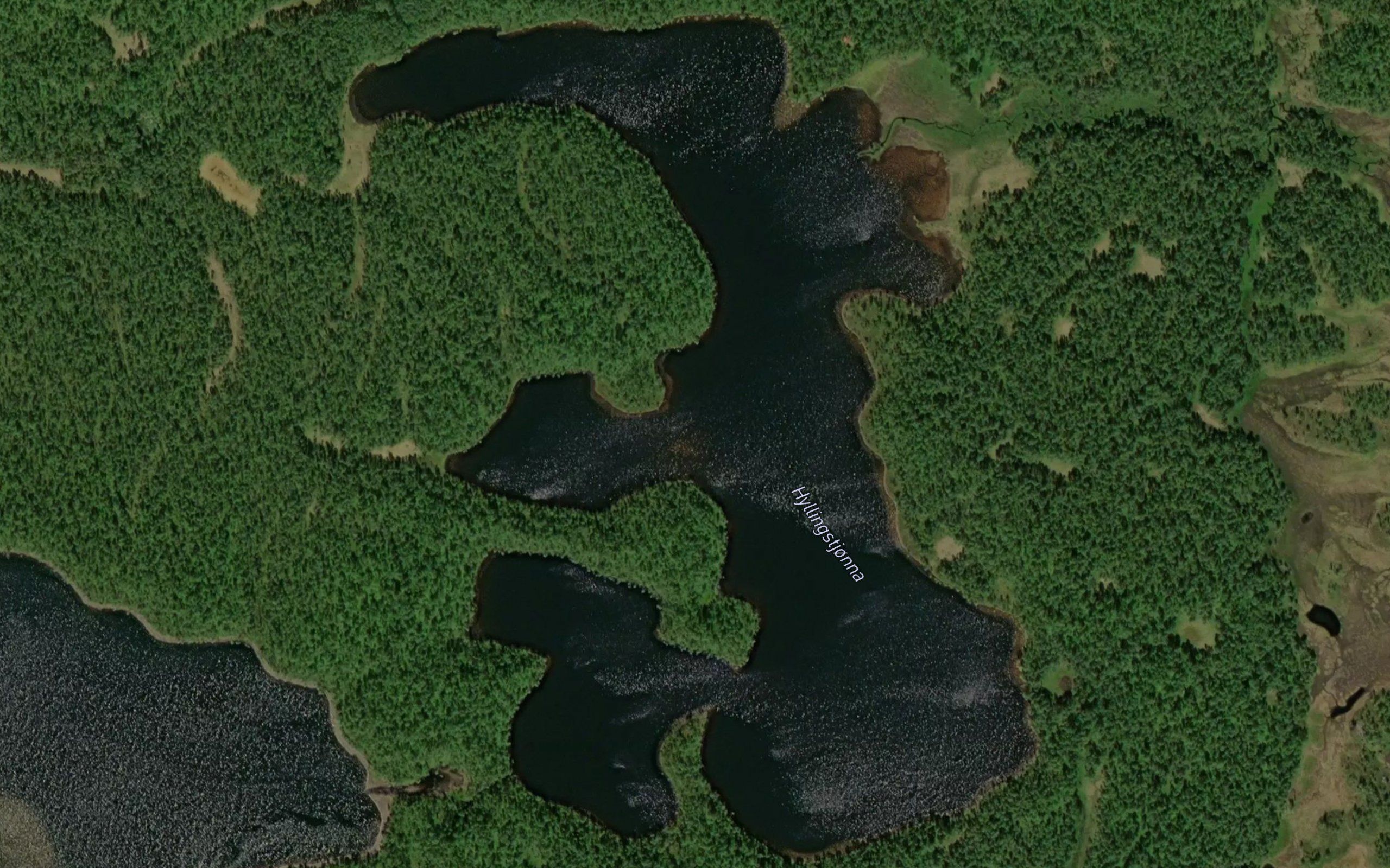 Hyllingstjonna