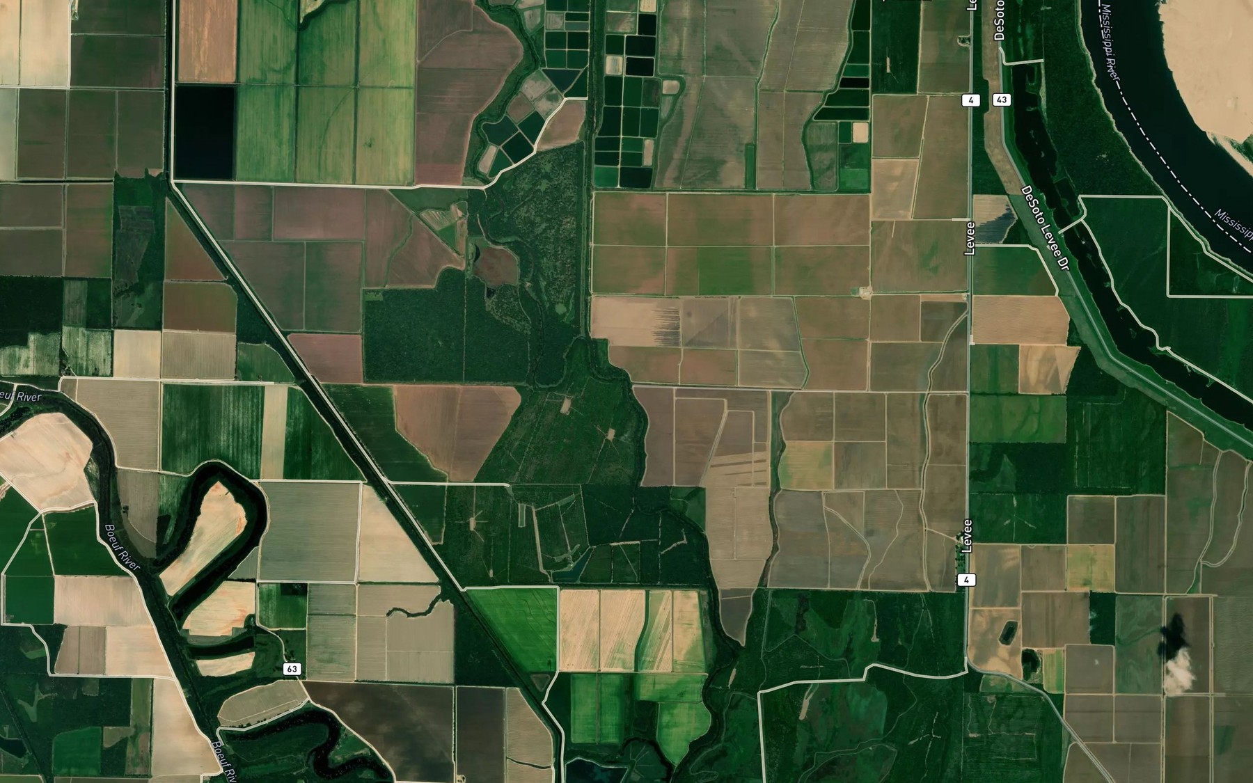 Satellite map of the Boggy Bayou