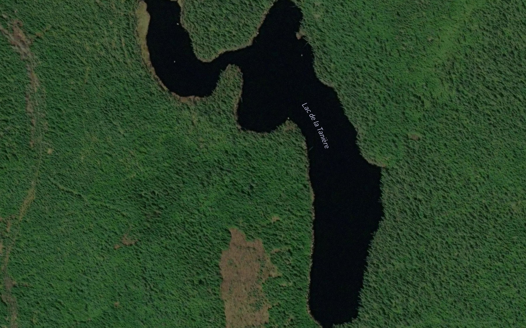 Satellite map of the Lac de la Taniere