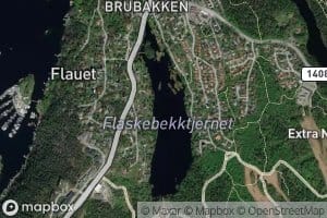 Flaskebekktjernet