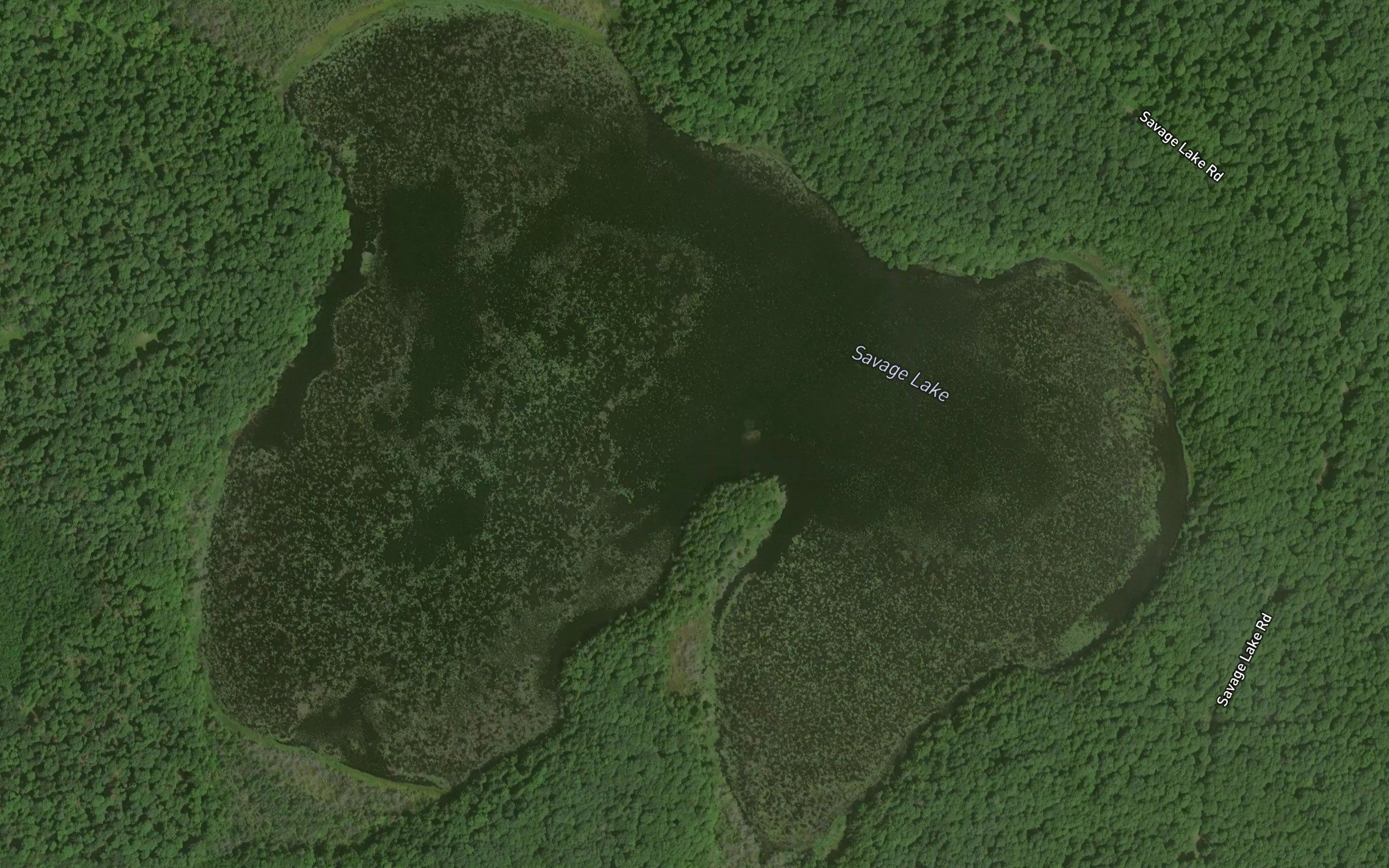 Savage Lake