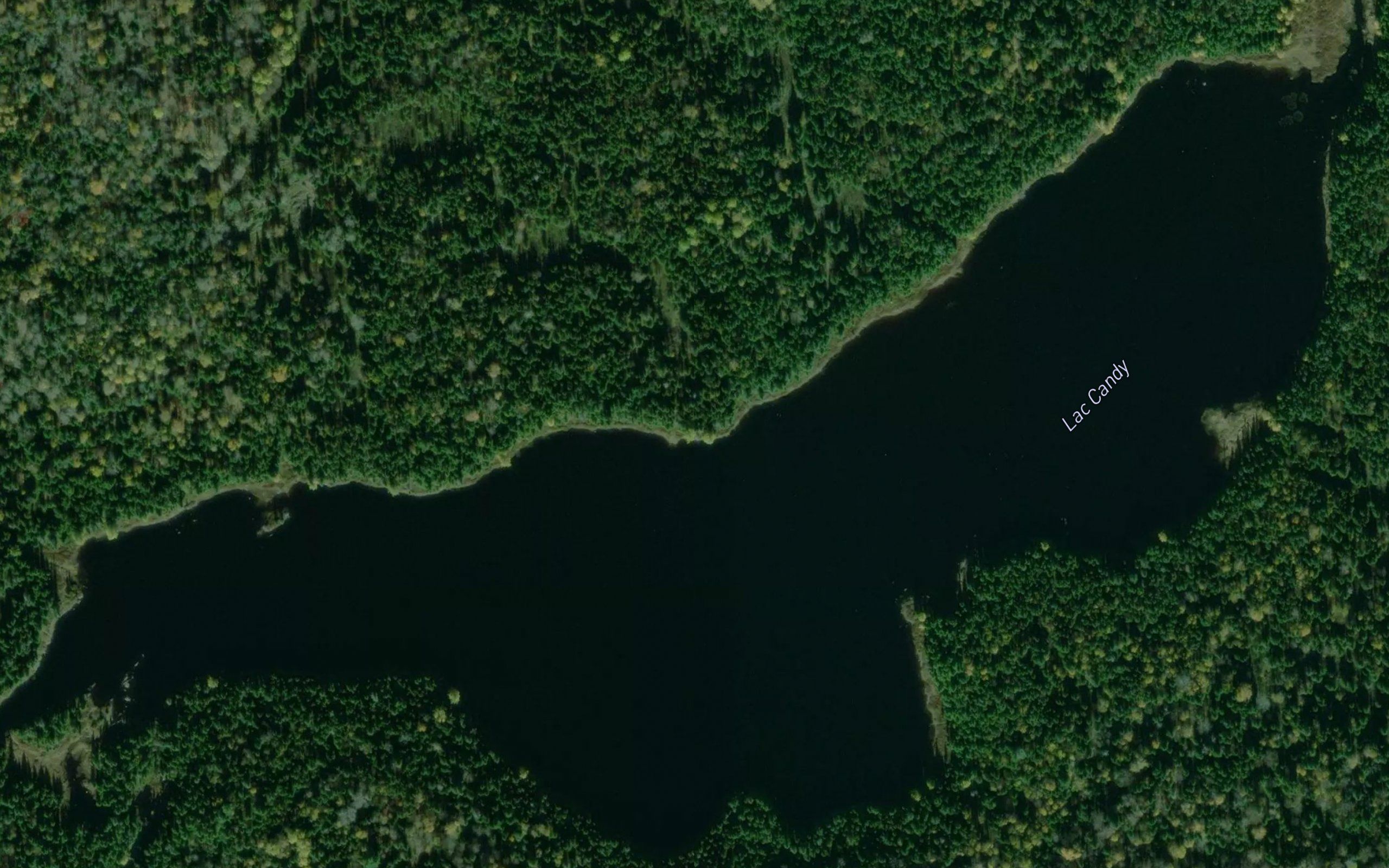 Lac Candy