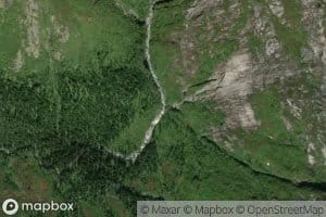 Nonselva