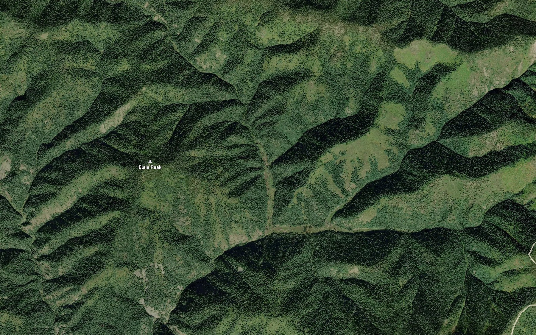 Satellite map of the McPhee Creek