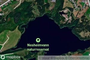 Nesheimsvatnet