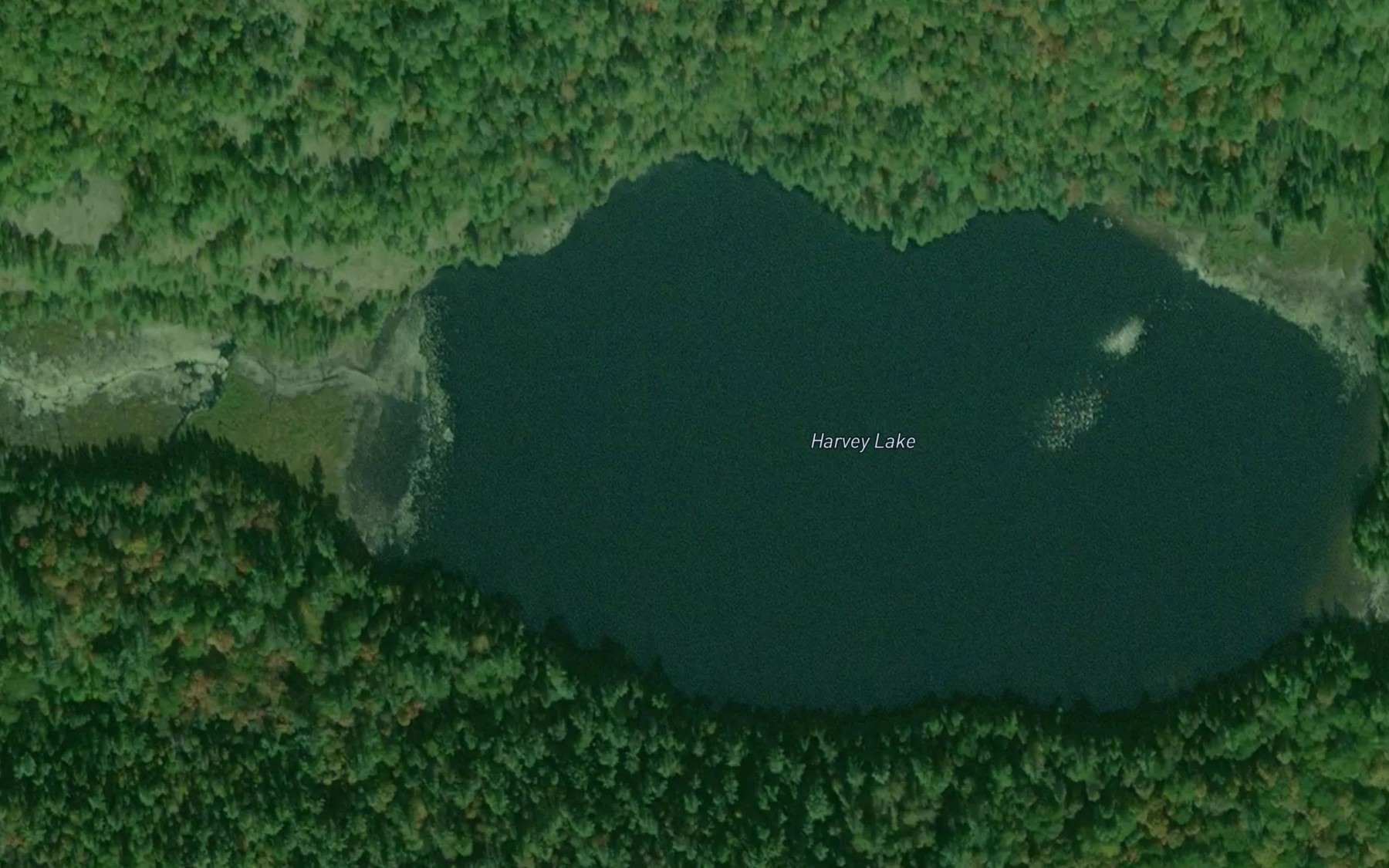 Satellite map of the Harvey Lake
