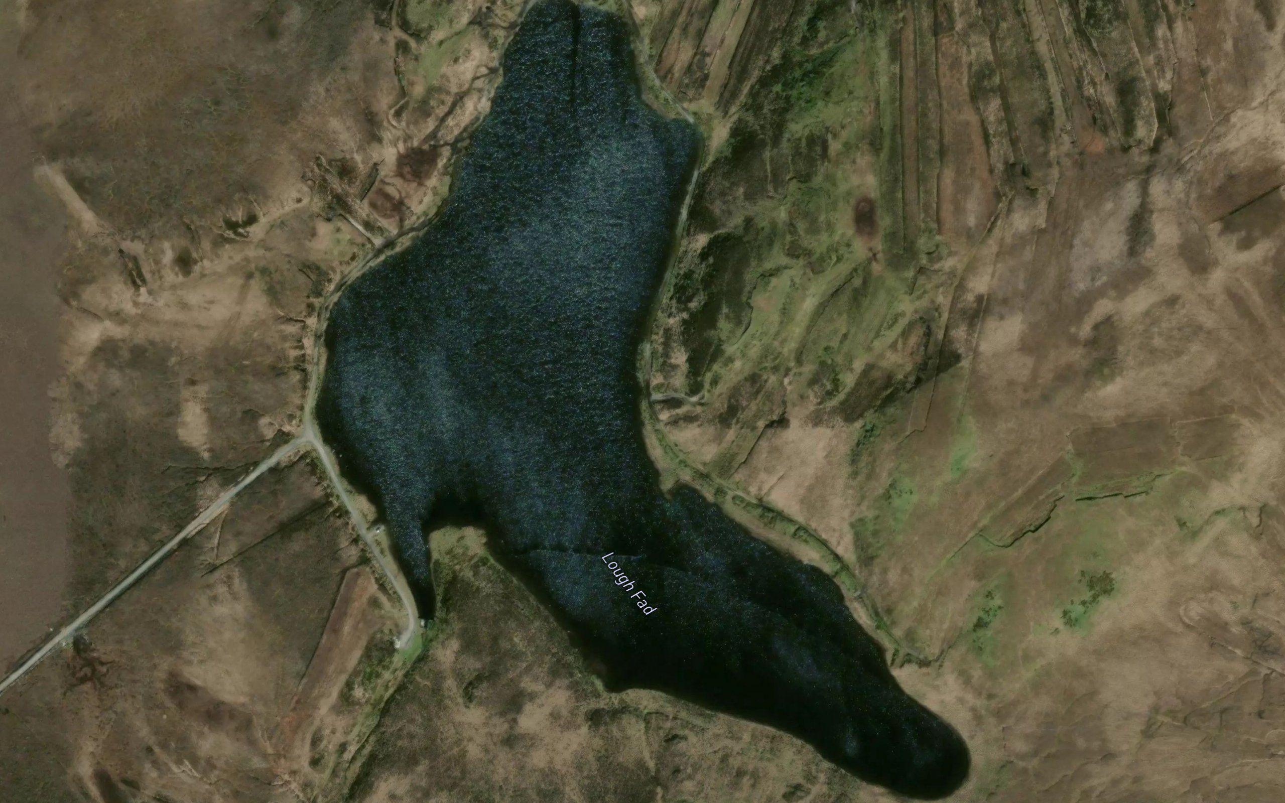 Lake Fad