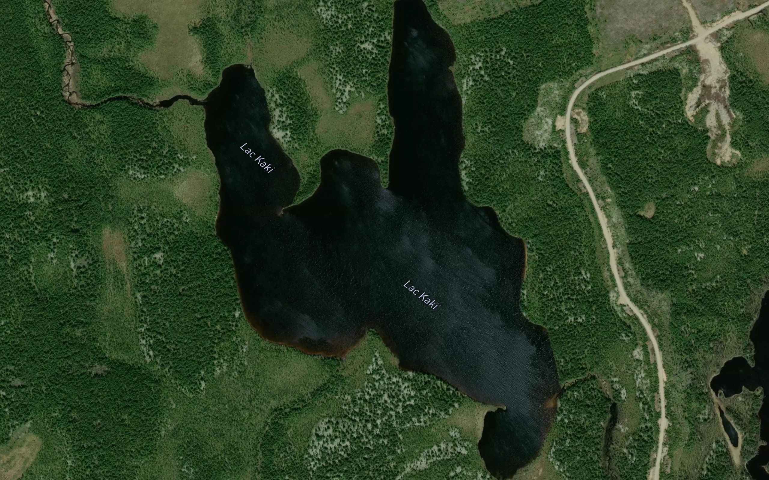 Lac Kaki