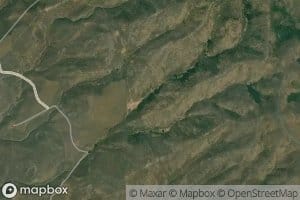 Quaking Aspen Spring