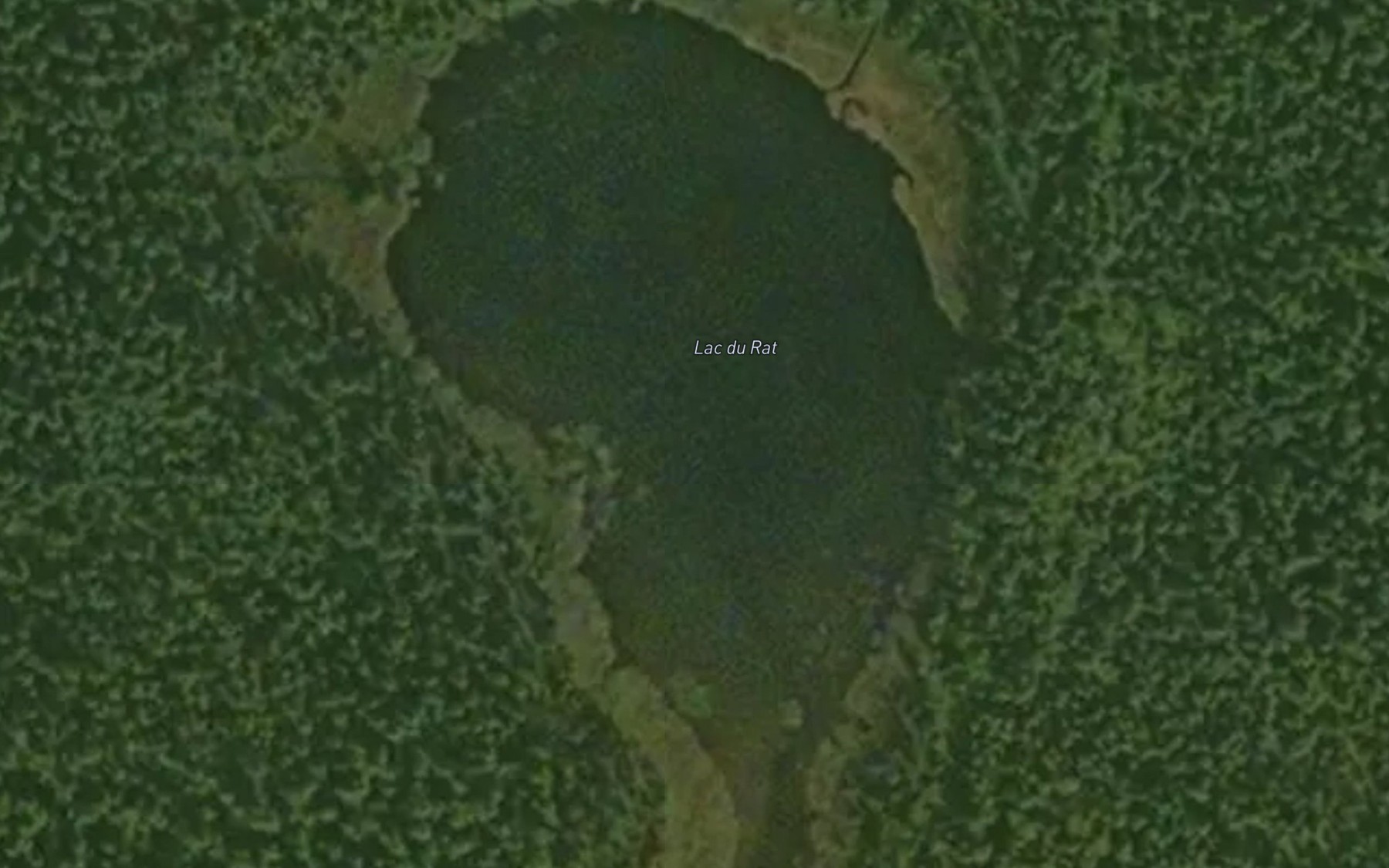 Satellite map of the Lac du Rat