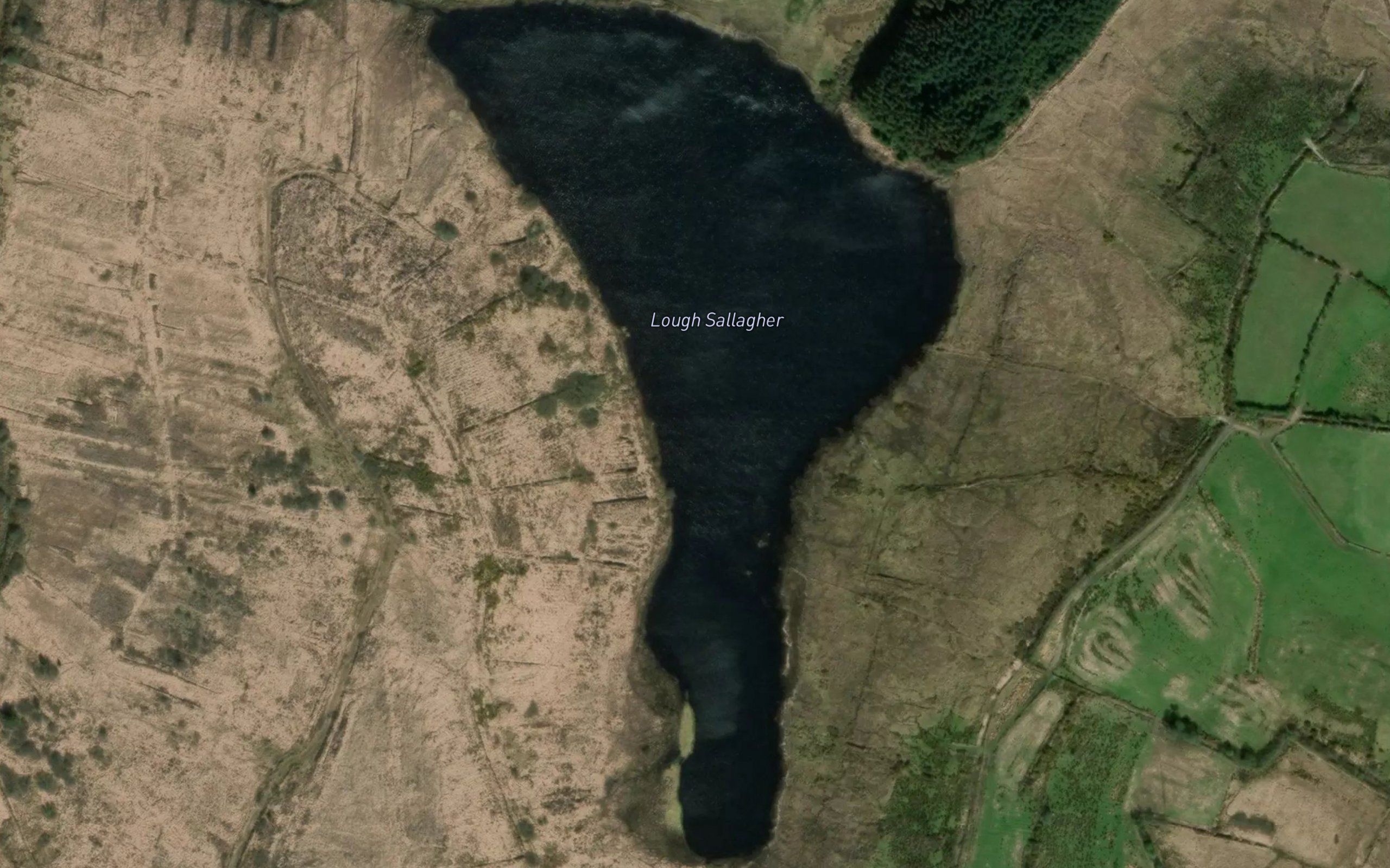Lough Sallagher