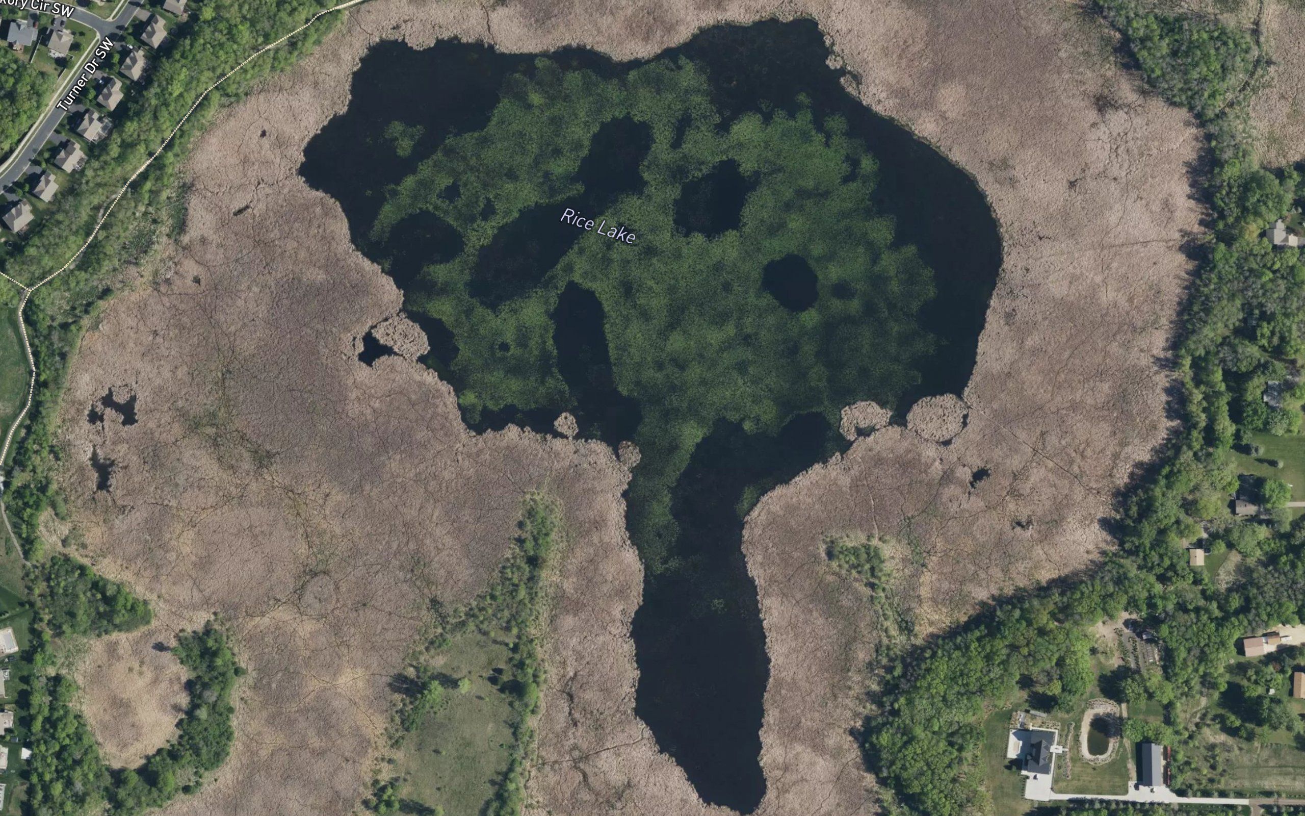 Rice Lake