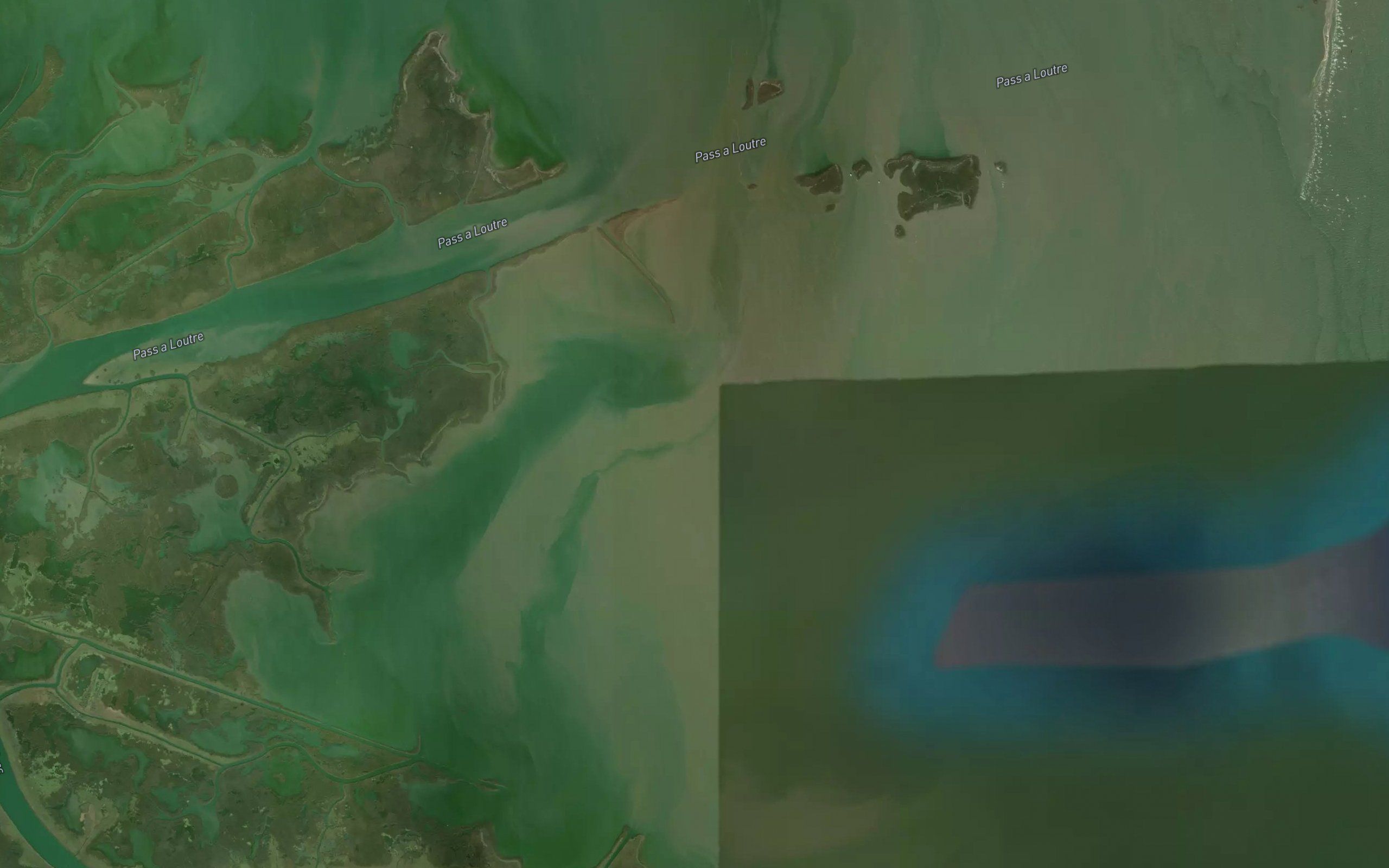 Jackson Bayou