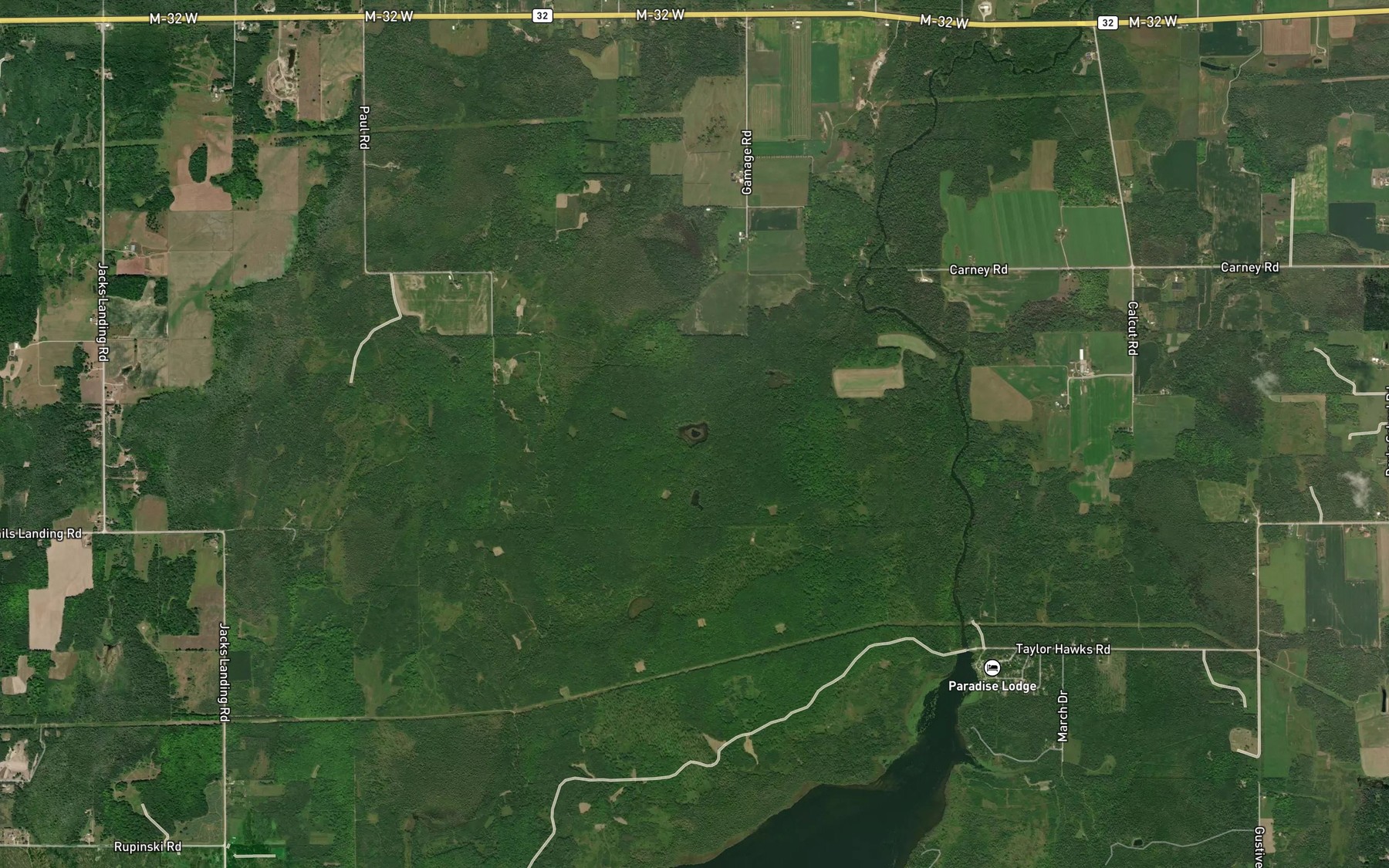 Satellite map of the Sylvester Lake