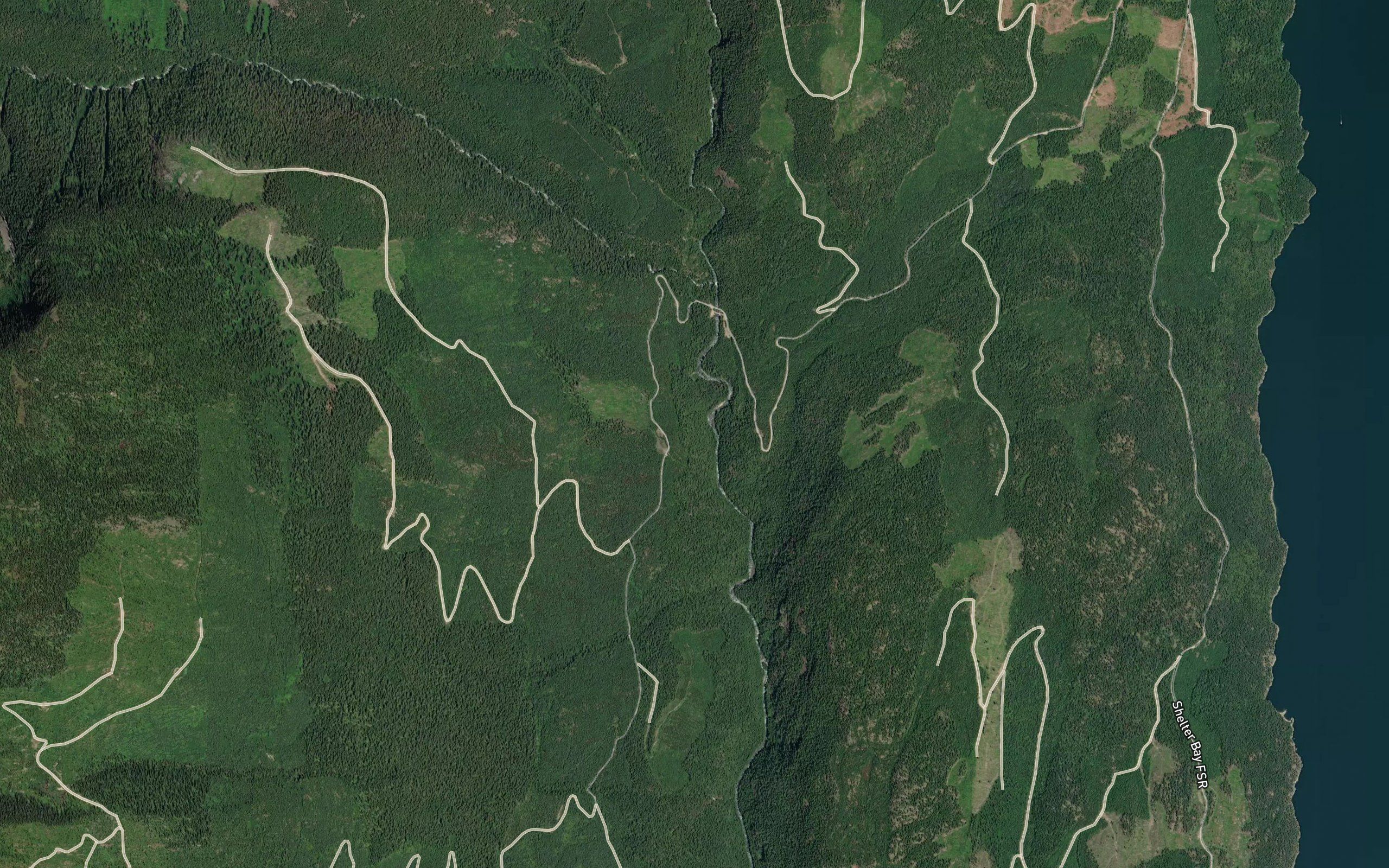 Trout Creek
